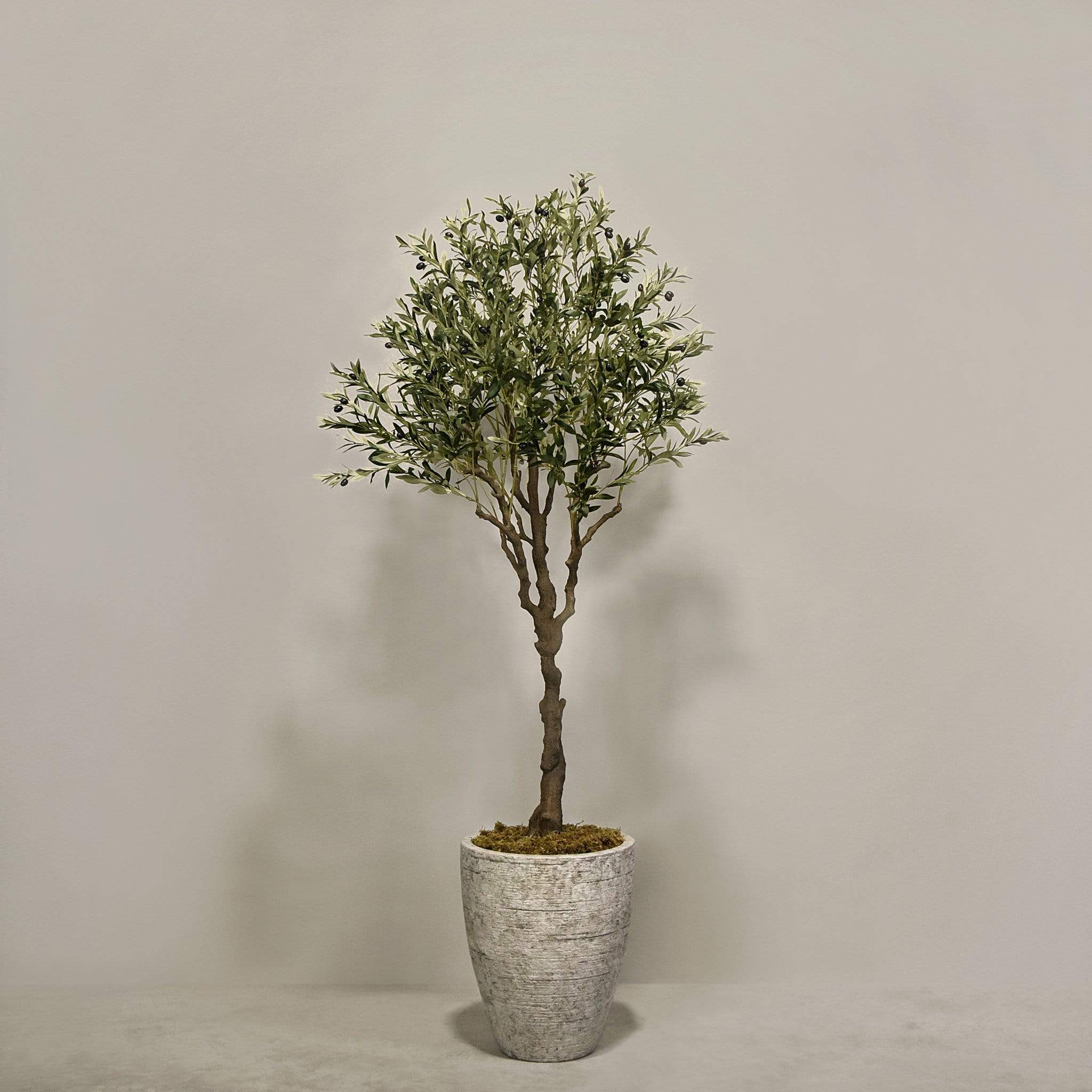 Artificial Olive Tree With Pot - Image 2
