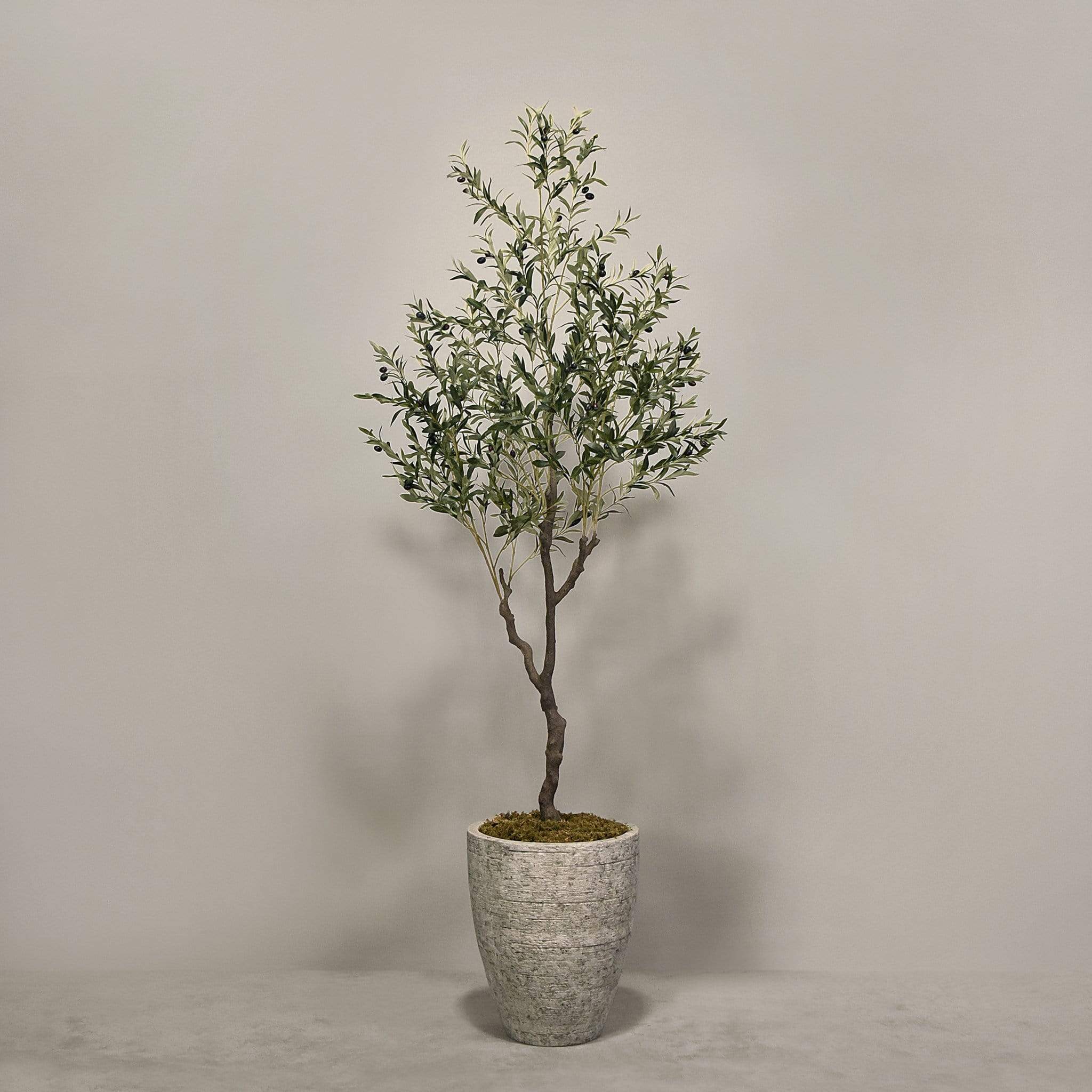 Artificial Olive Tree With Pot - Image 3