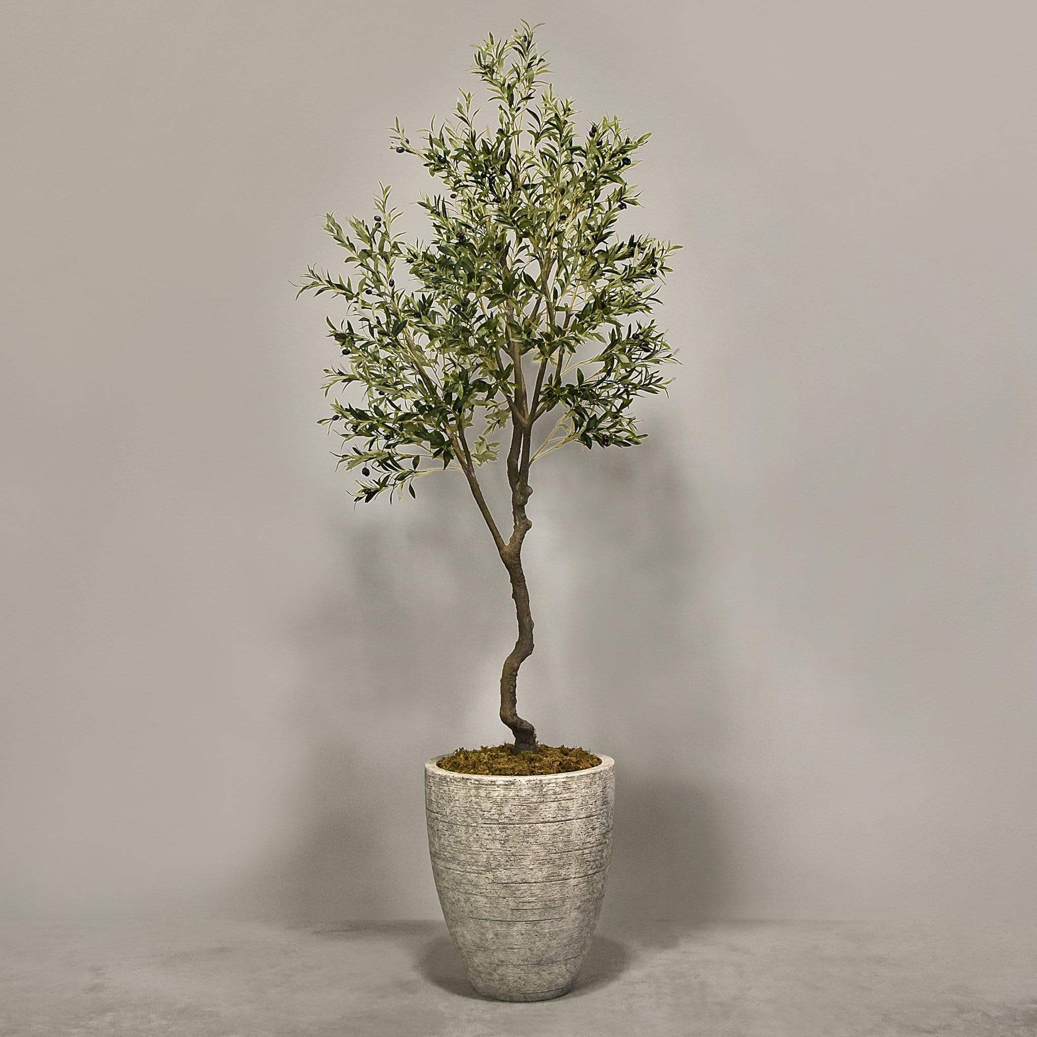 Artificial Olive Tree With Pot - Image 4