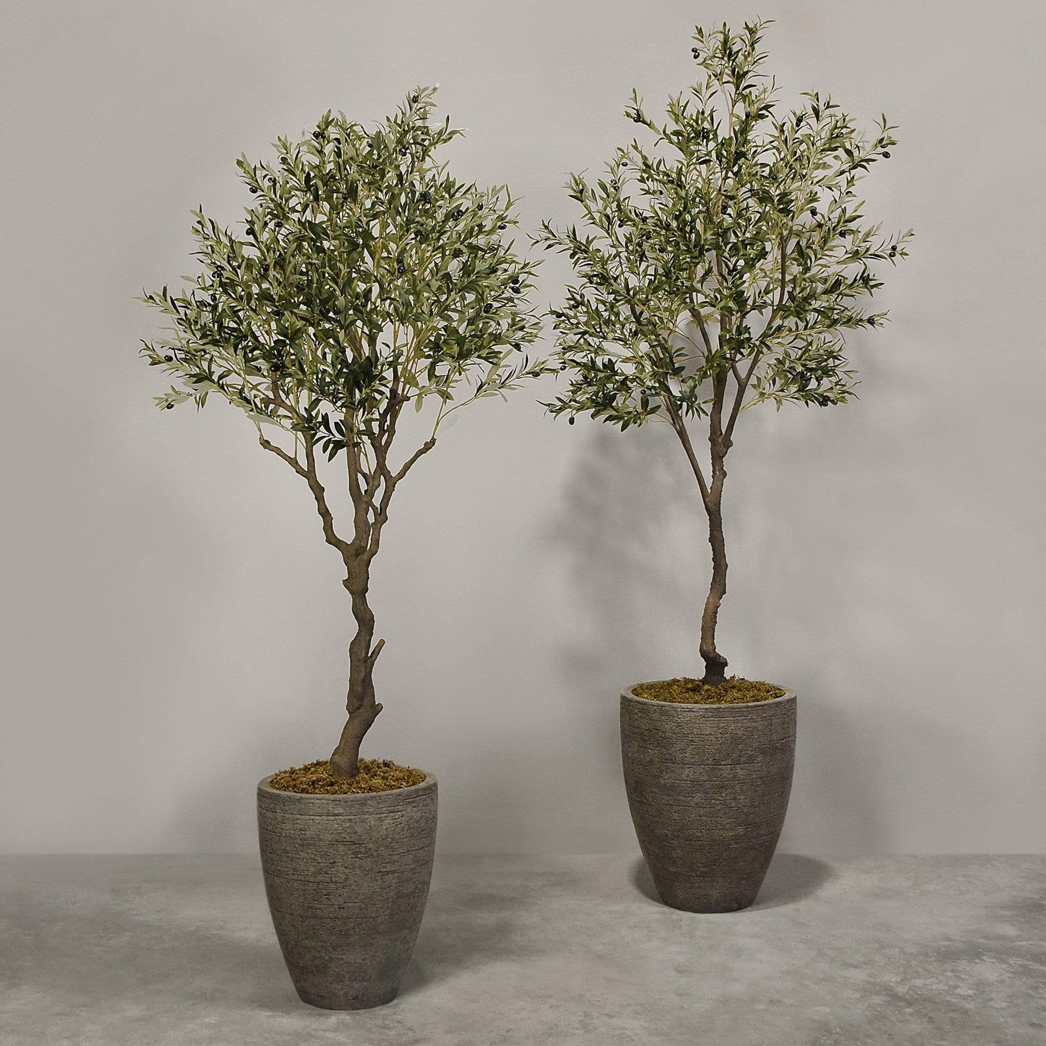 Artificial Olive Tree With Pot - Image 5
