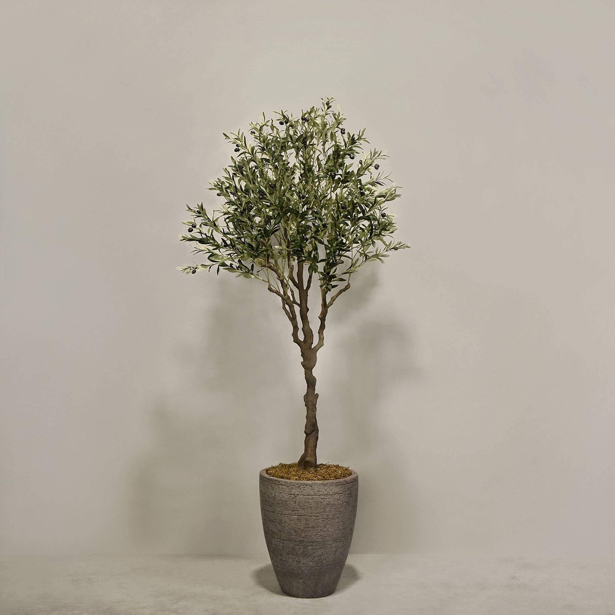 Artificial Olive Tree With Pot - Image 6
