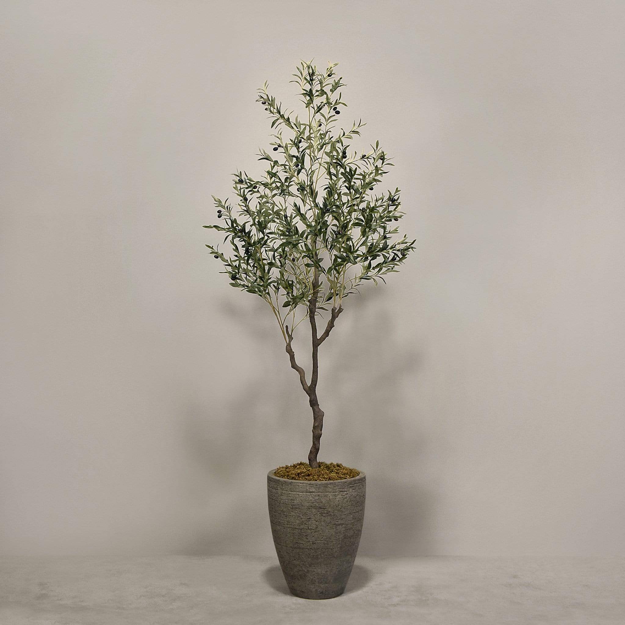Artificial Olive Tree With Pot - Image 7