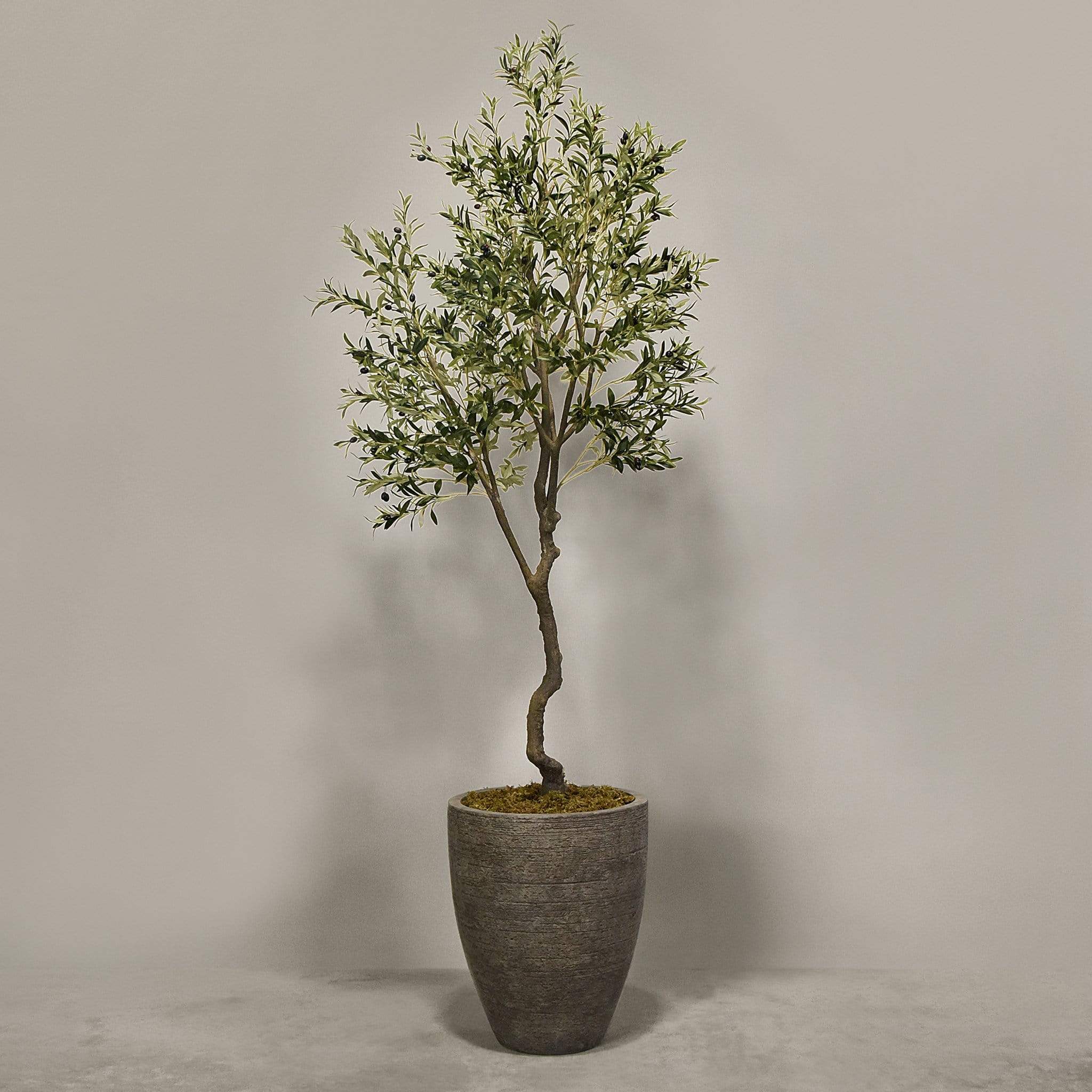 Artificial Olive Tree With Pot - Image 8
