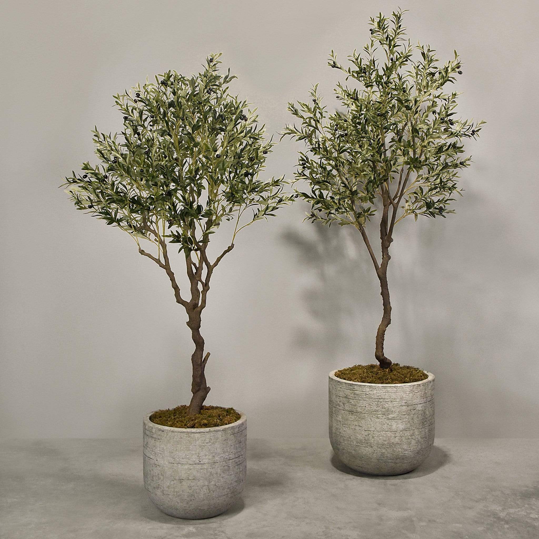 Artificial Olive Tree With Pot
