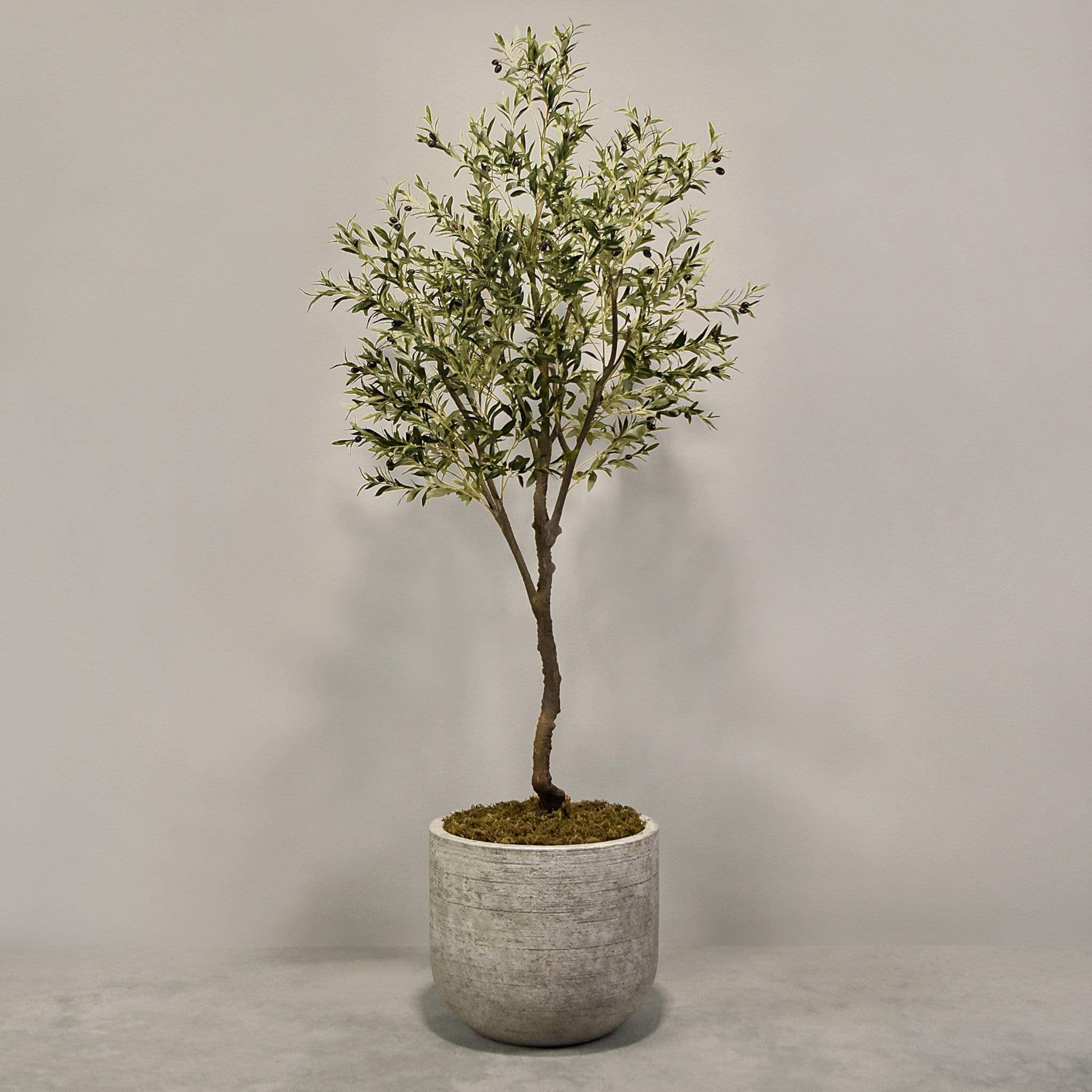 Artificial Olive Tree With Pot - Image 4
