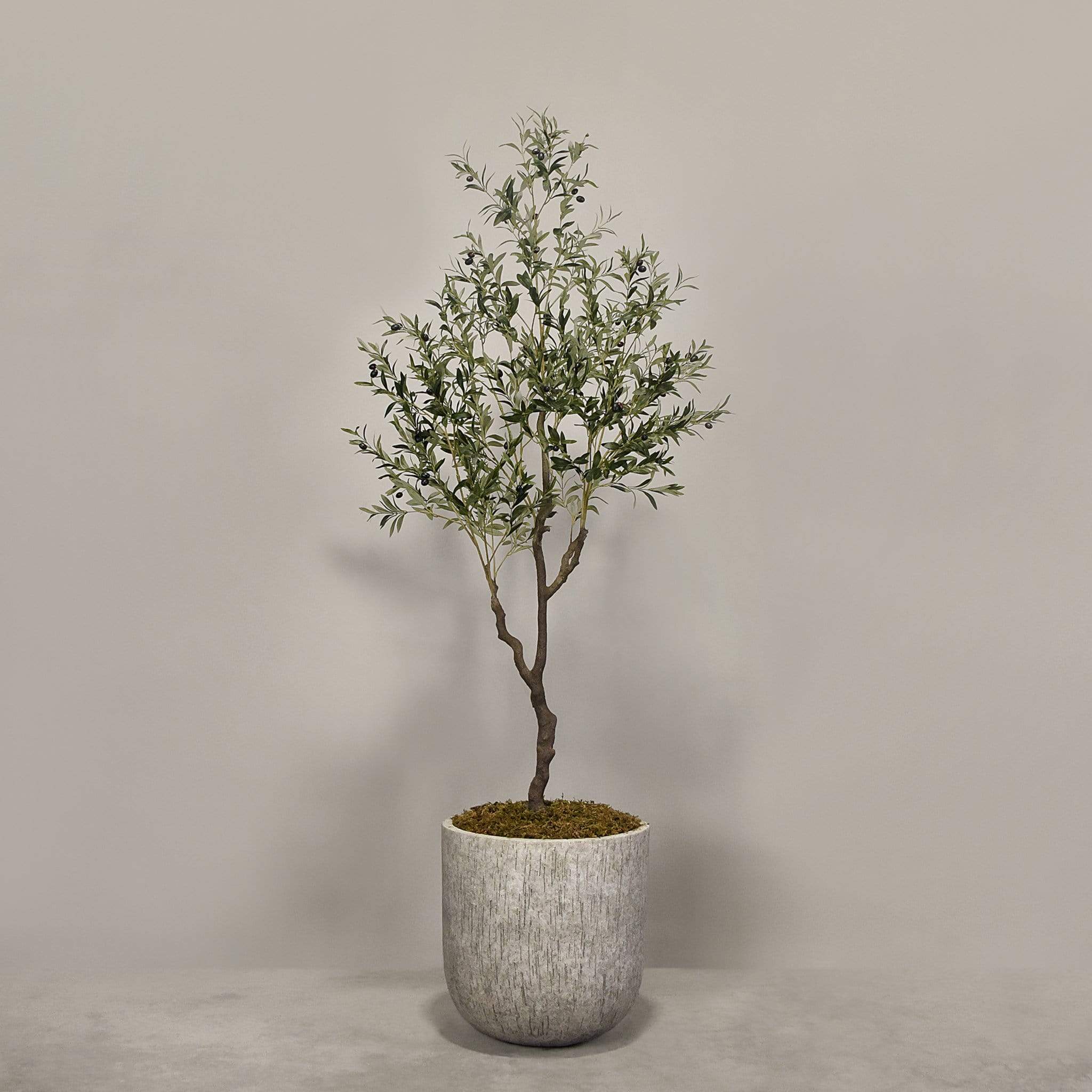 Artificial Olive Tree With Pot - Image 3