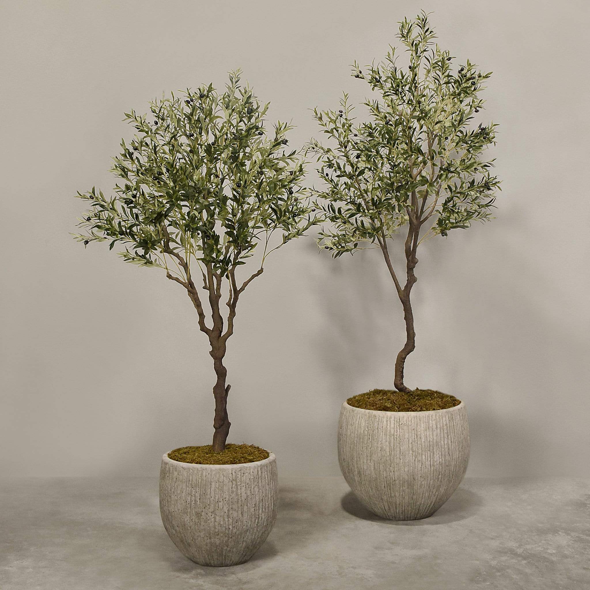 Artificial Olive Tree With Pot