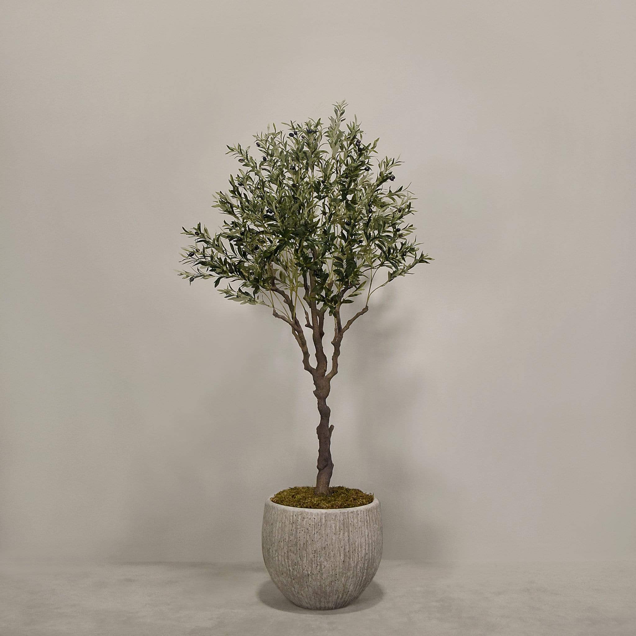 Artificial Olive Tree With Pot - Image 2