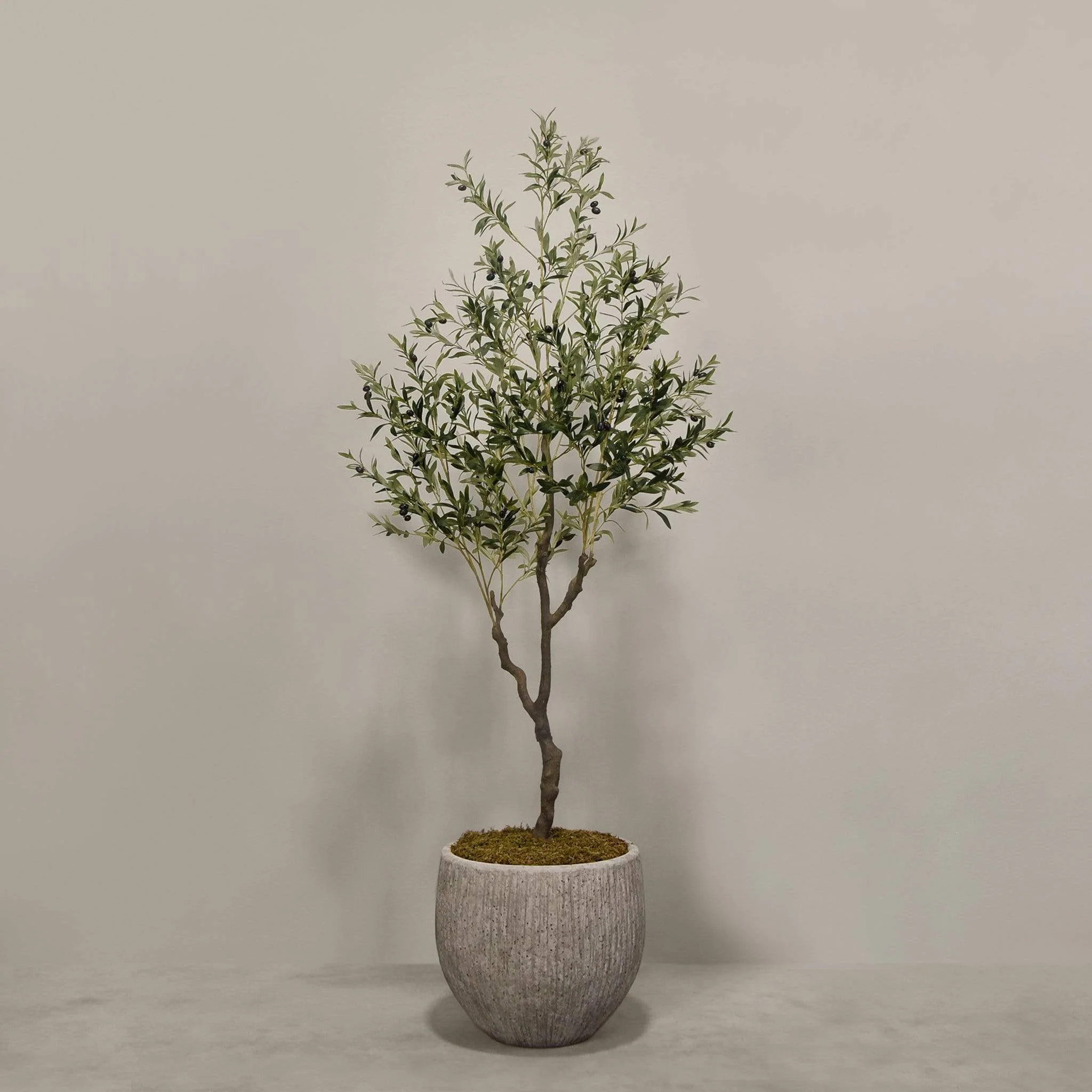 Artificial Olive Tree With Pot - Image 3