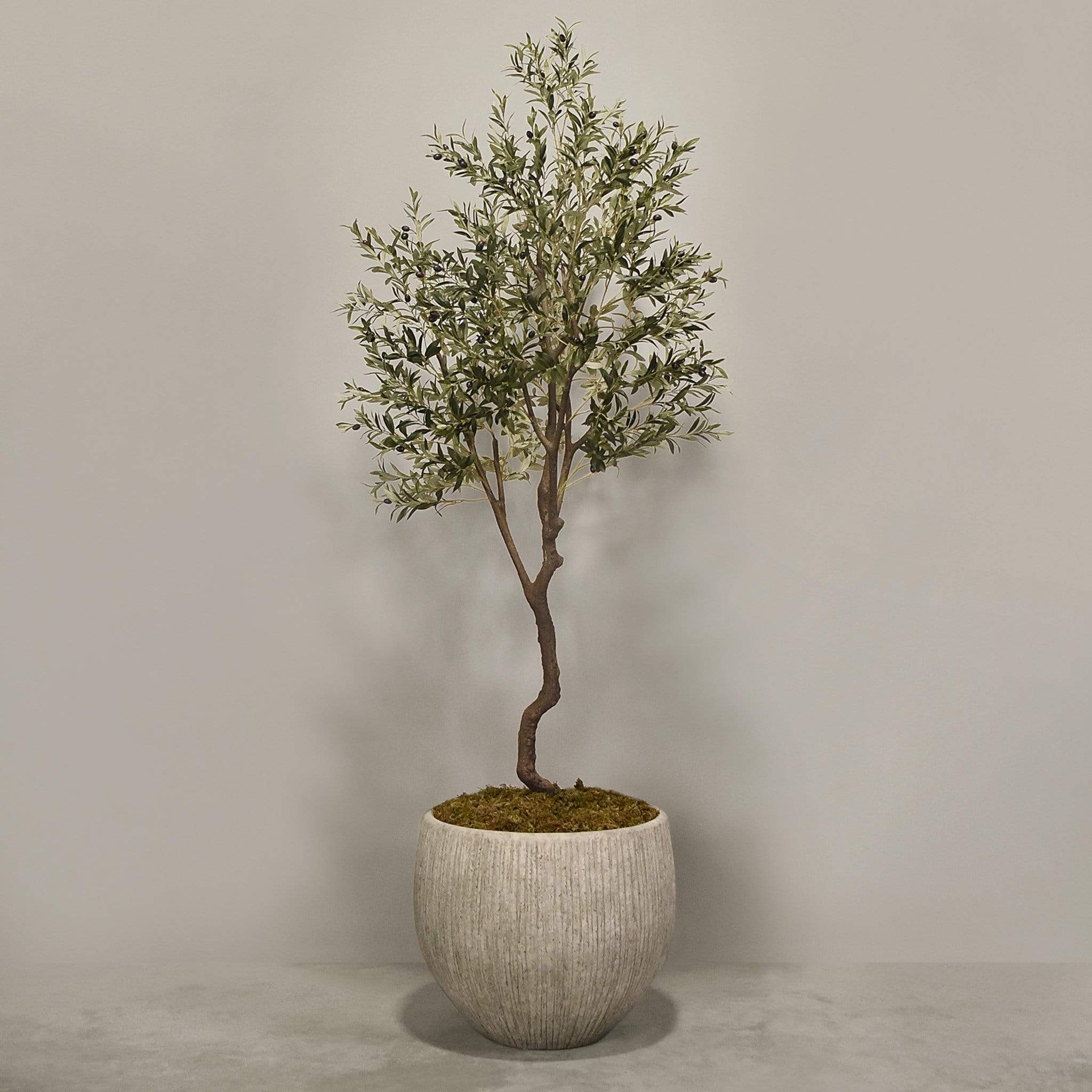Artificial Olive Tree With Pot - Image 4