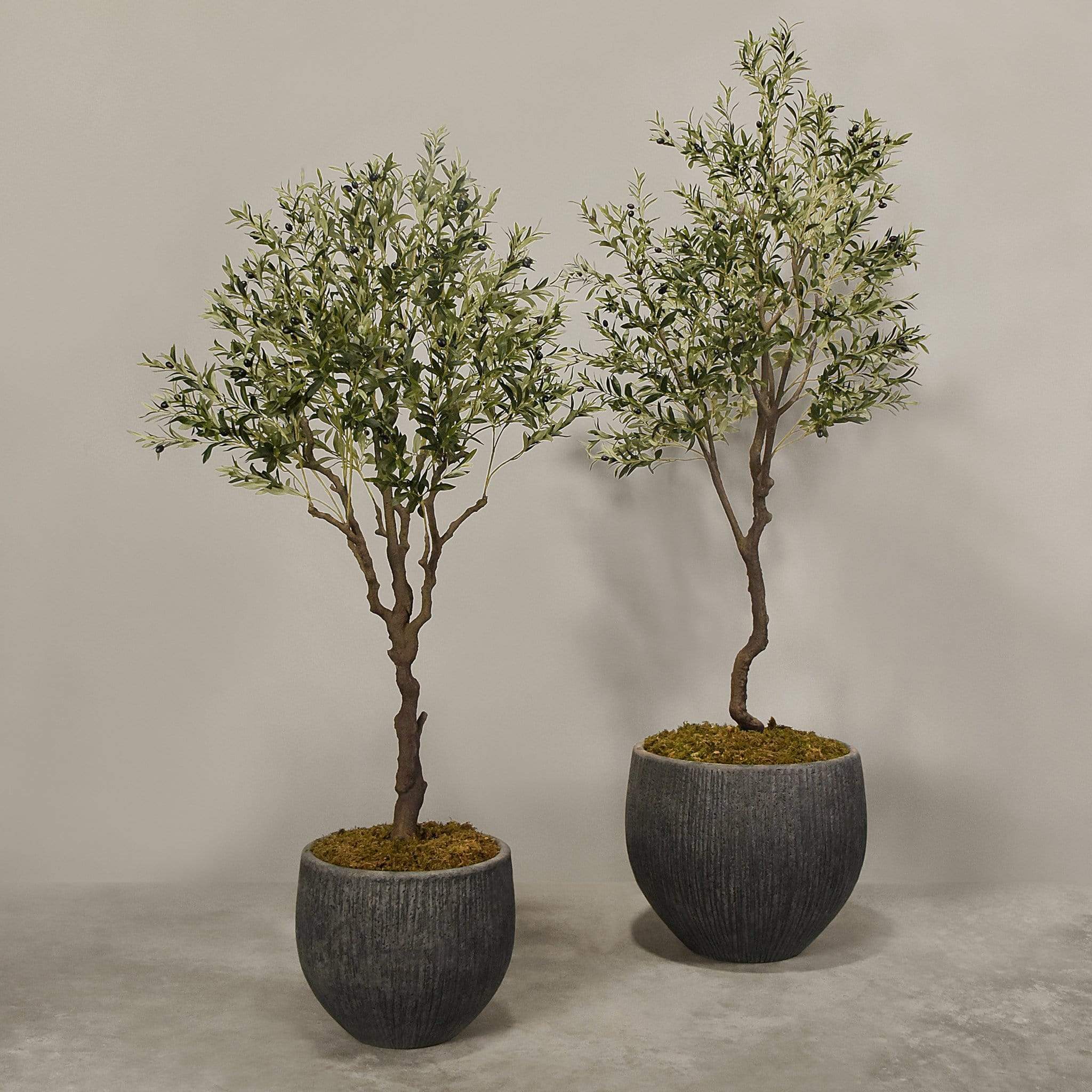 Artificial Olive Tree With Pot - Image 5