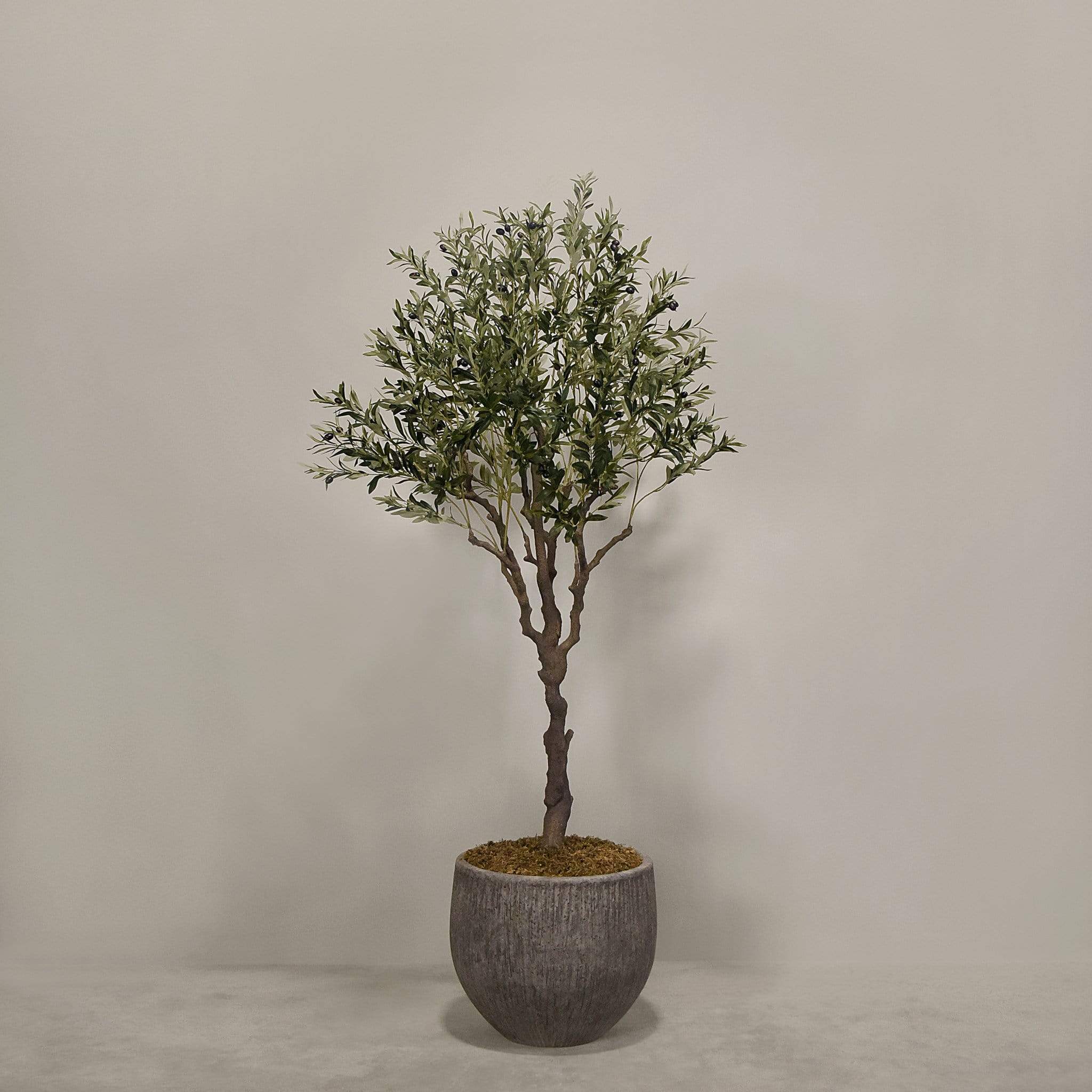 Artificial Olive Tree With Pot - Image 6