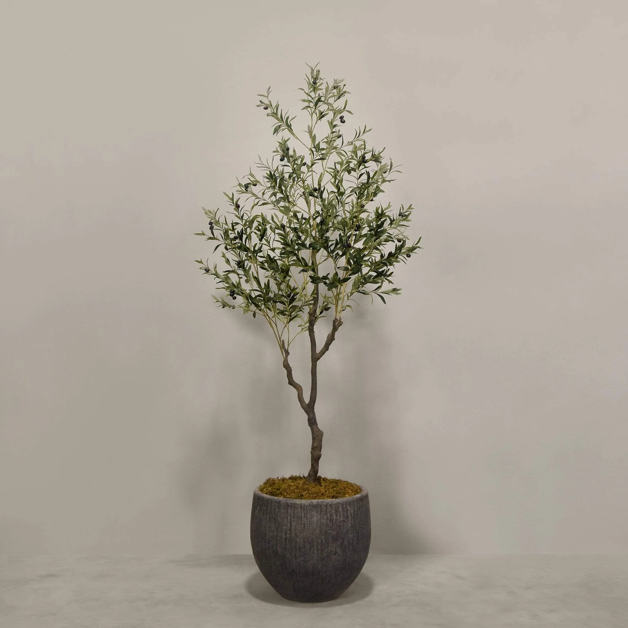 Artificial Olive Tree With Pot - Image 7