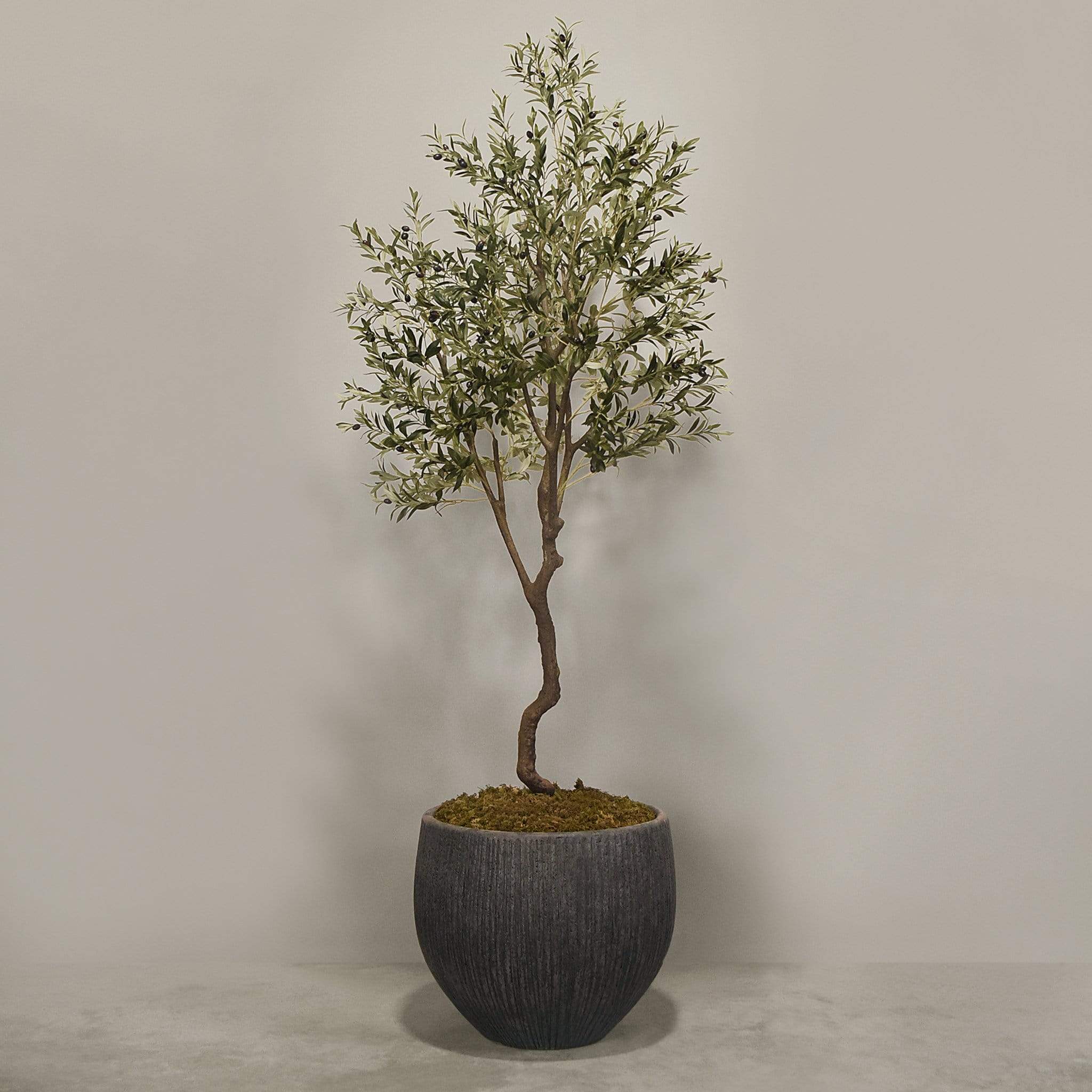 Artificial Olive Tree With Pot - Image 8