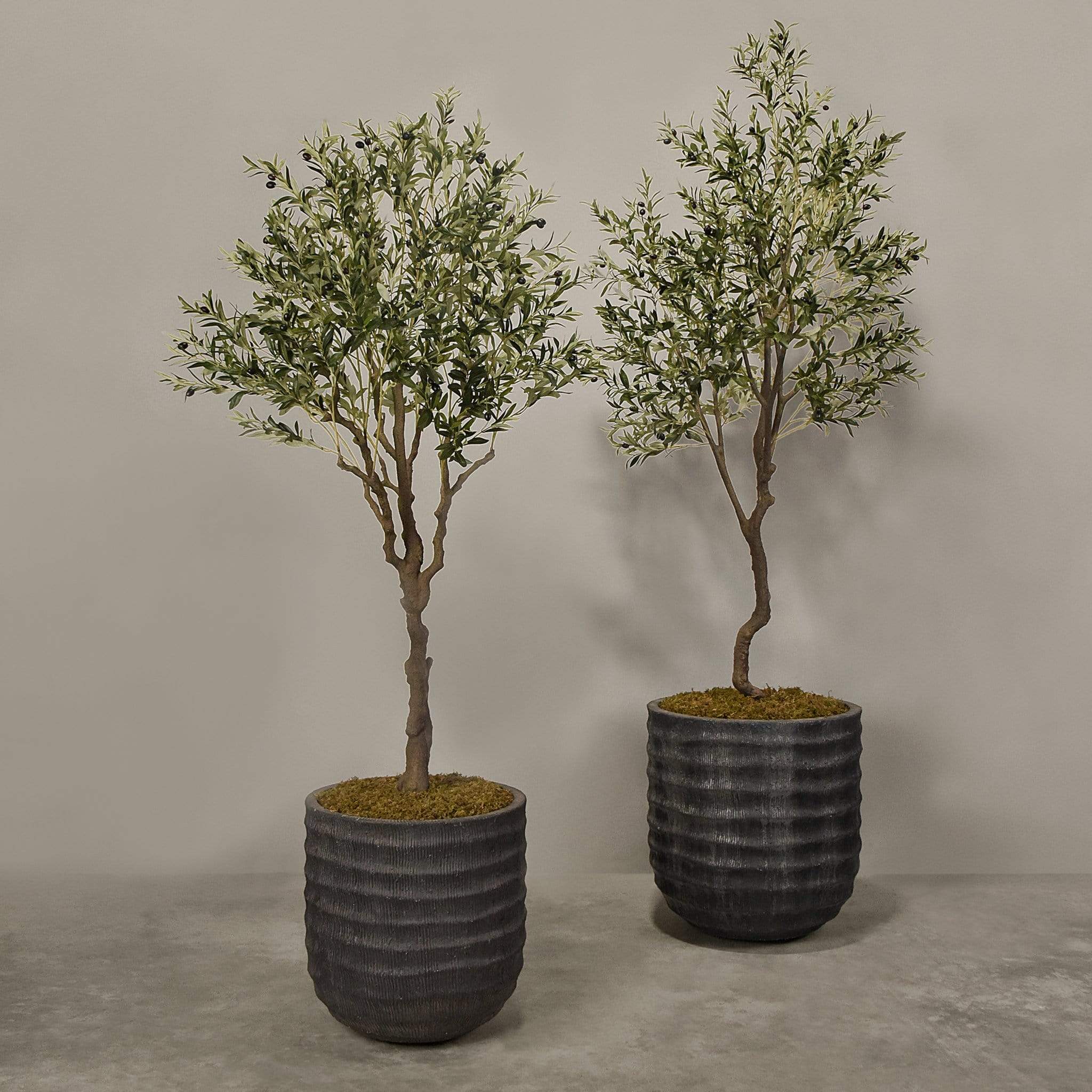 Artificial Olive Tree With Pot