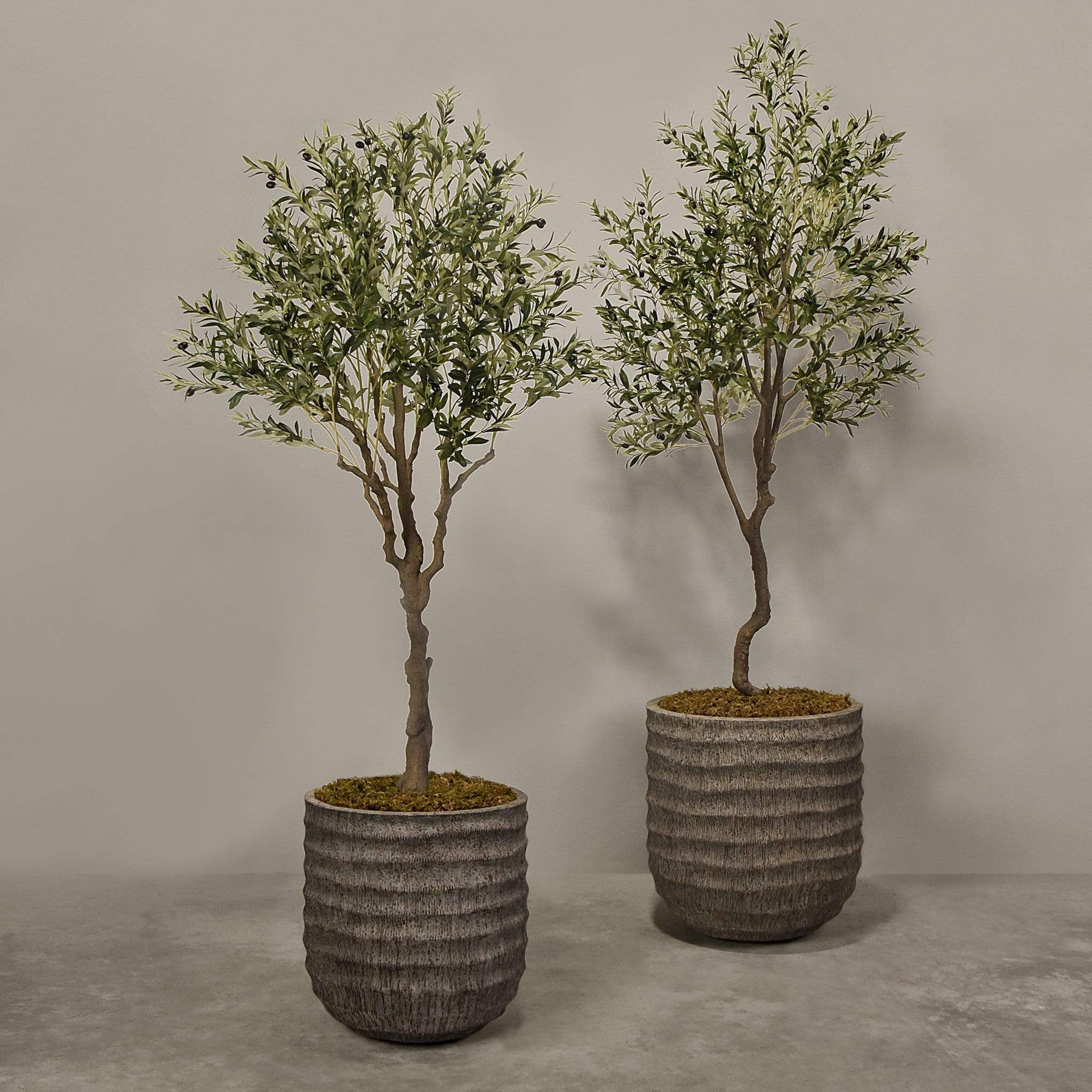 Artificial Olive Tree With Pot - Image 2
