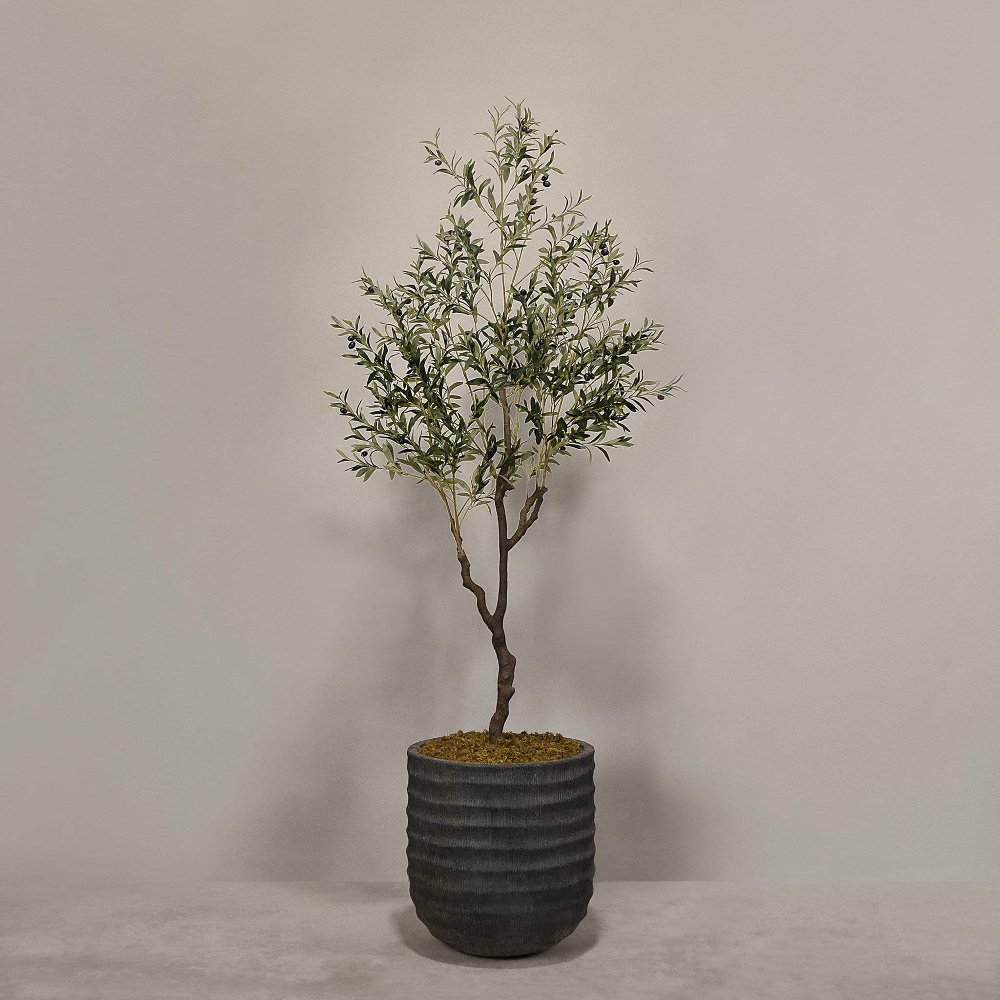 Artificial Olive Tree With Pot - Image 3