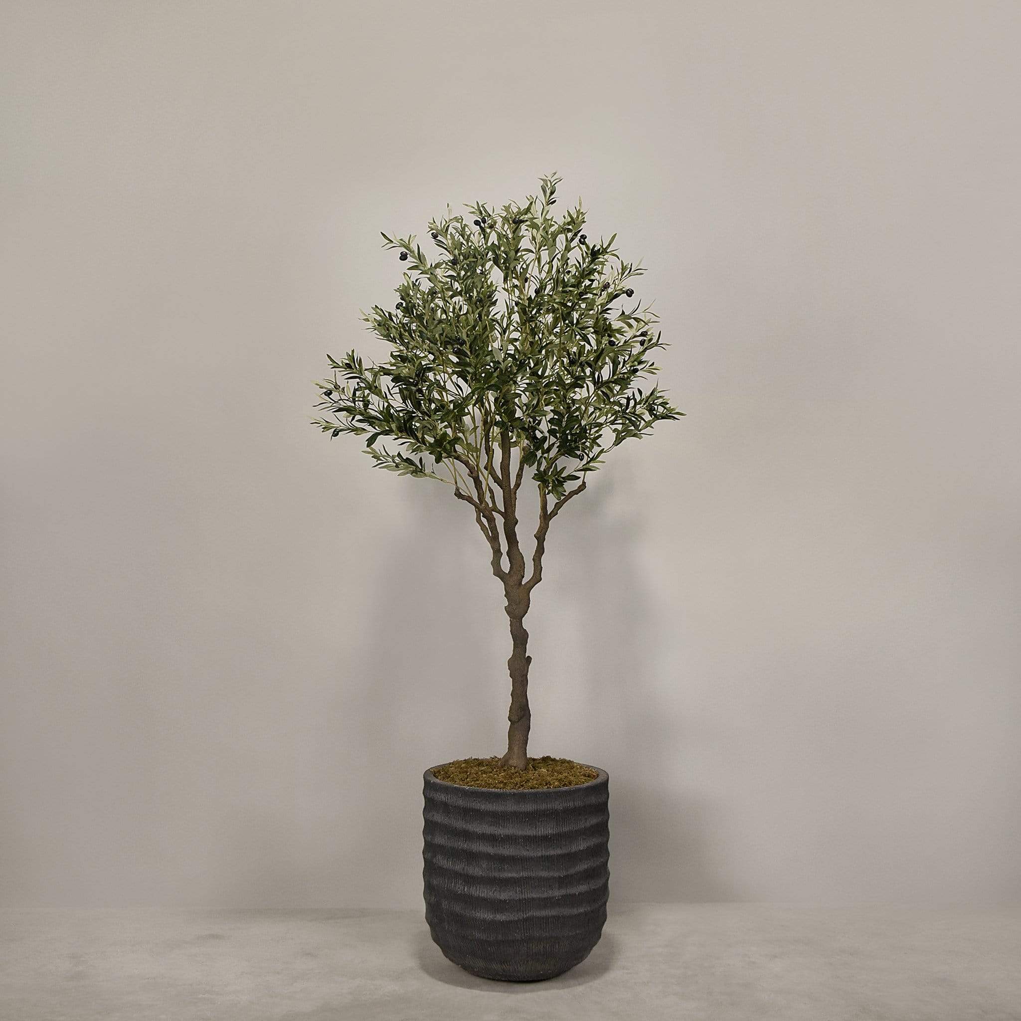 Artificial Olive Tree With Pot - Image 4