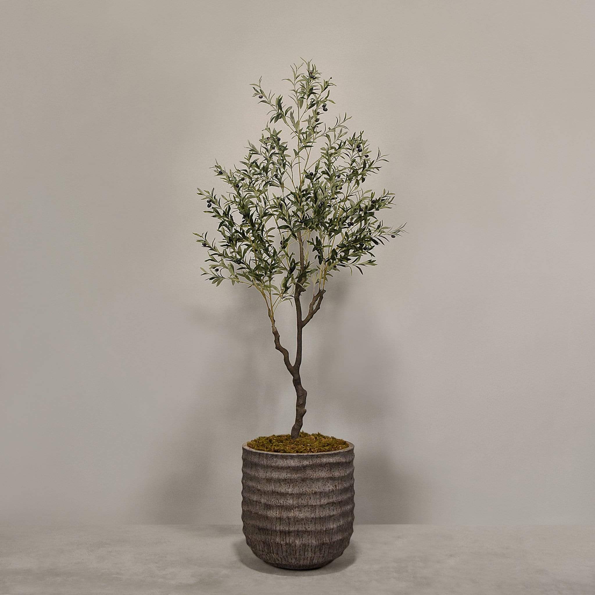Artificial Olive Tree With Pot - Image 5