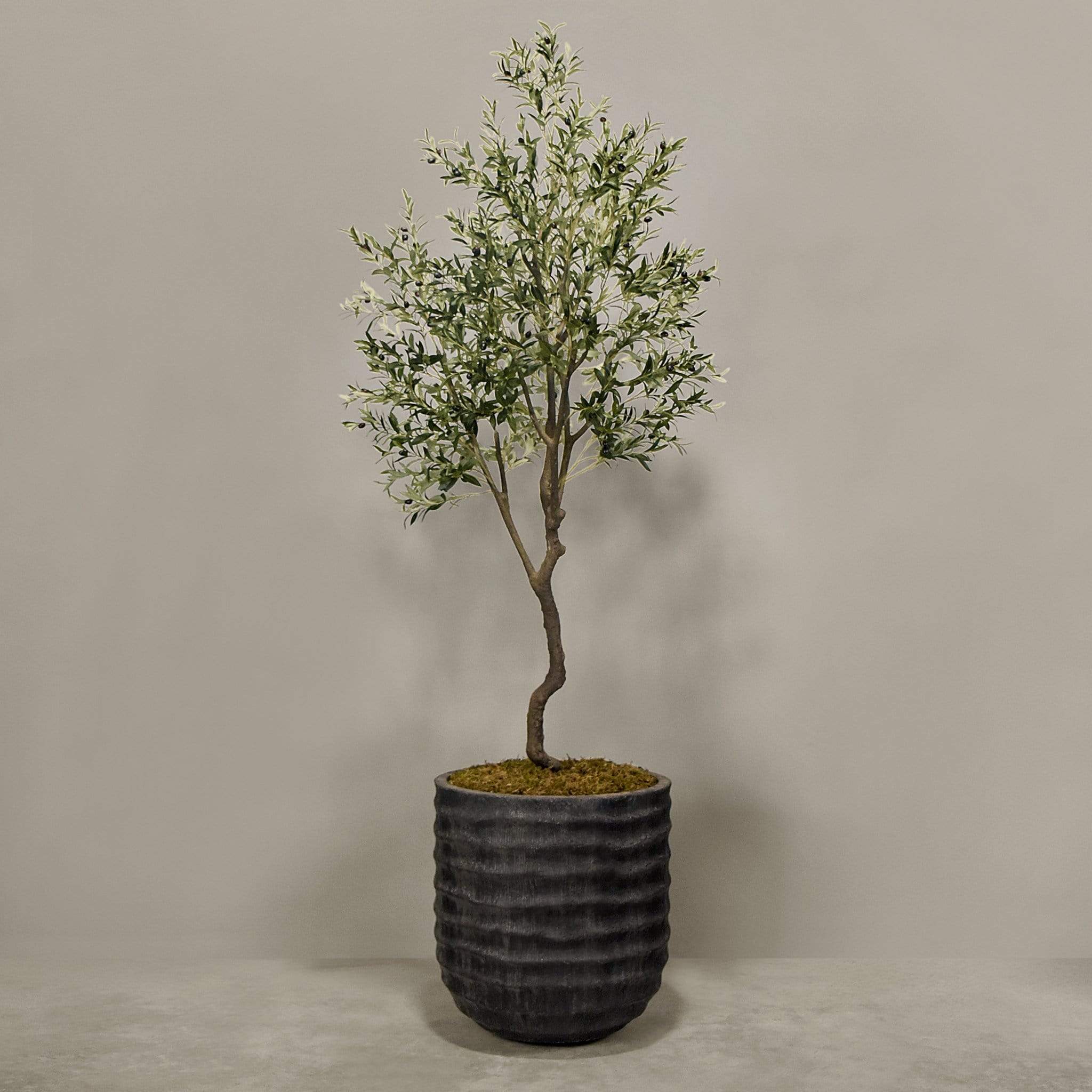 Artificial Olive Tree With Pot - Image 6
