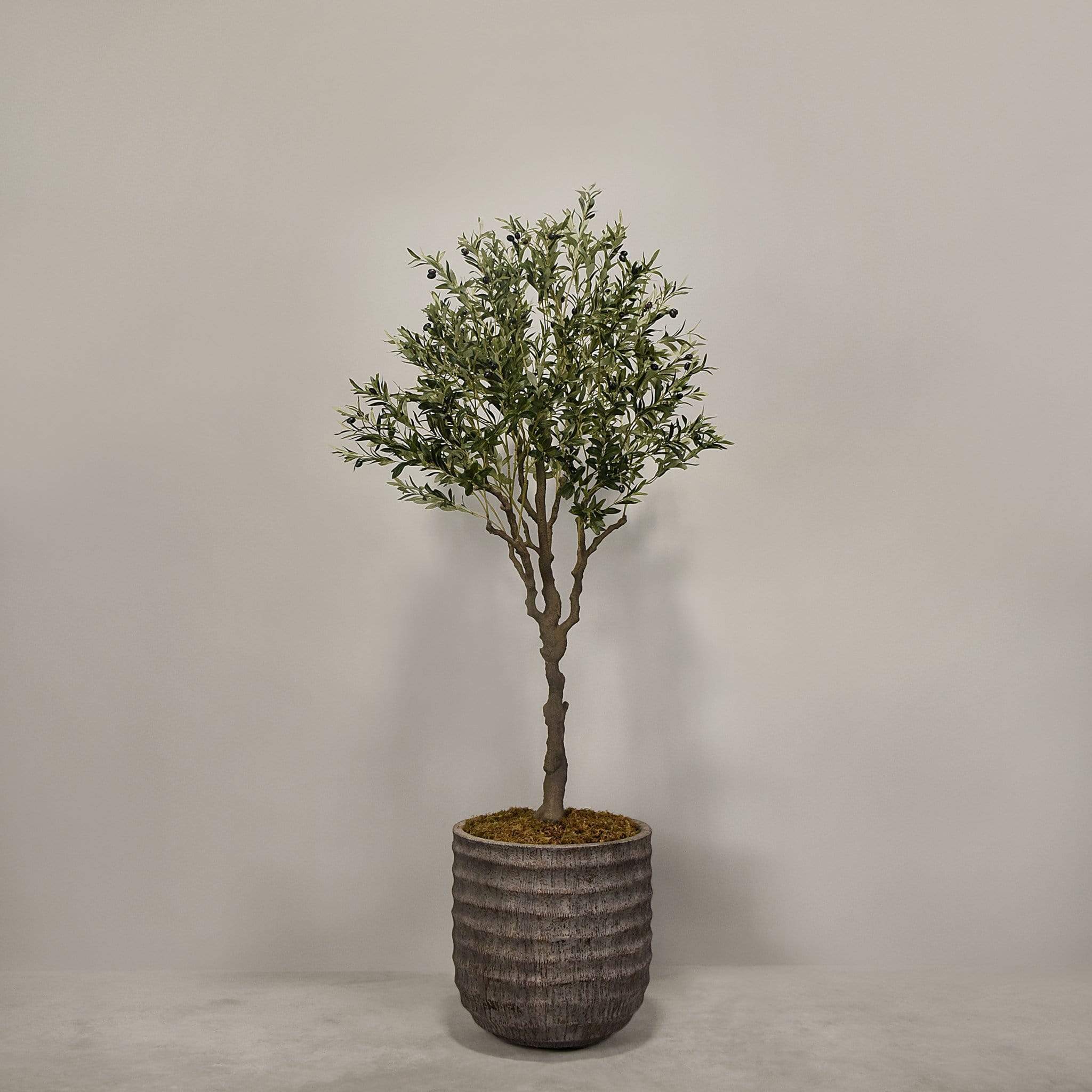 Artificial Olive Tree With Pot - Image 7