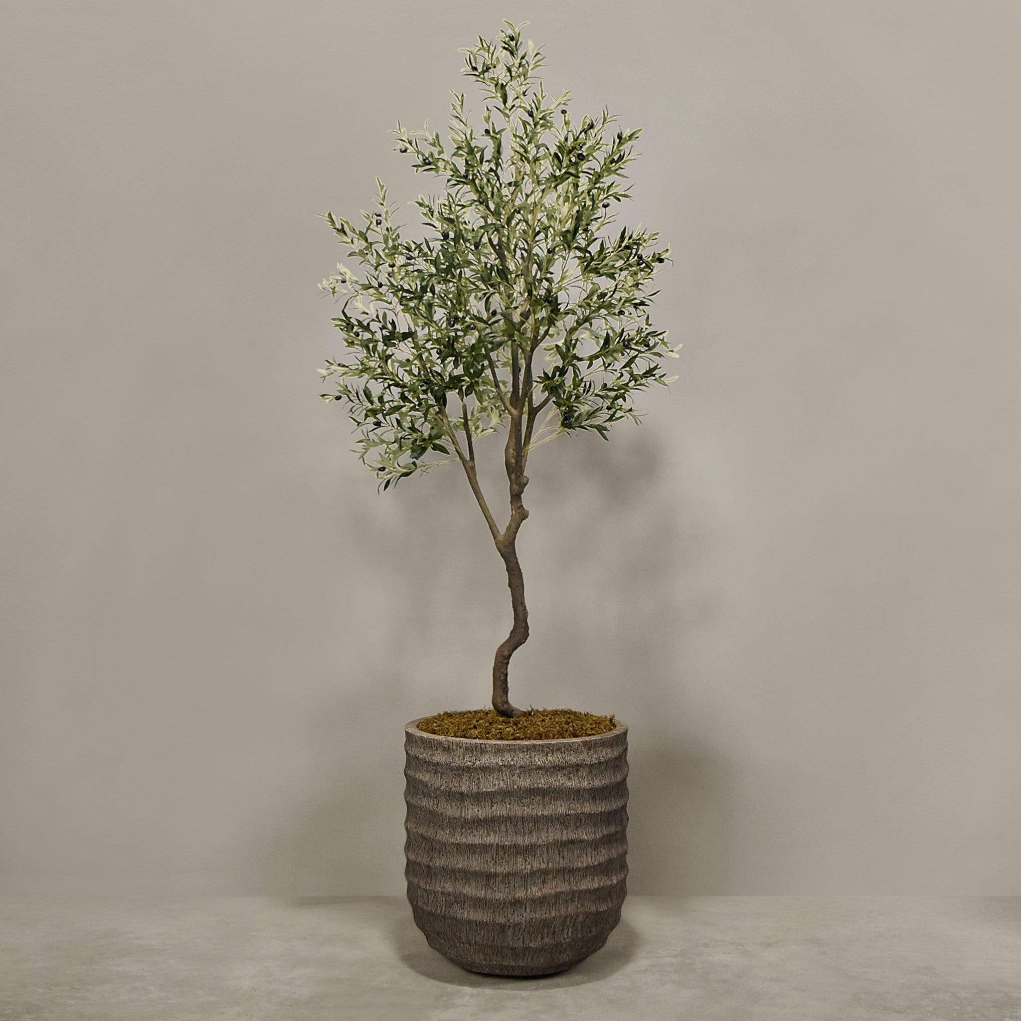 Artificial Olive Tree With Pot - Image 8
