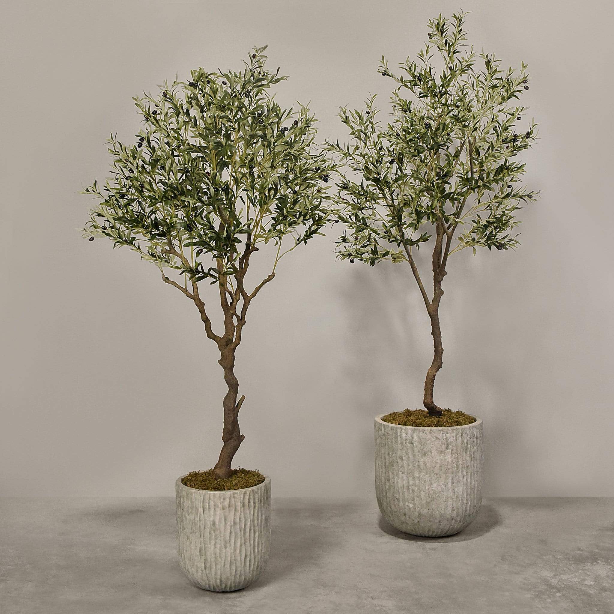Artificial Olive Tree With Pot