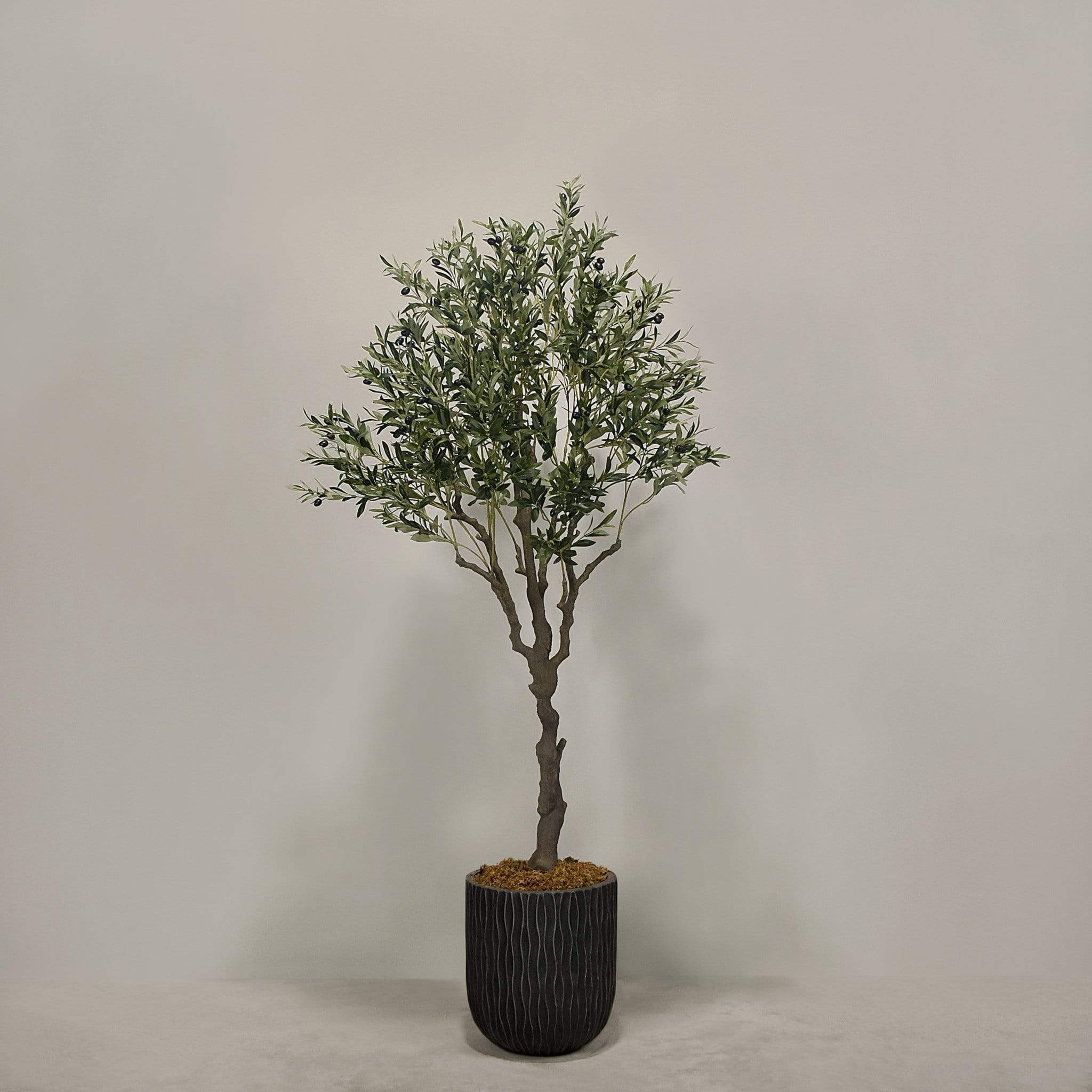 Artificial Olive Tree With Pot - Image 10