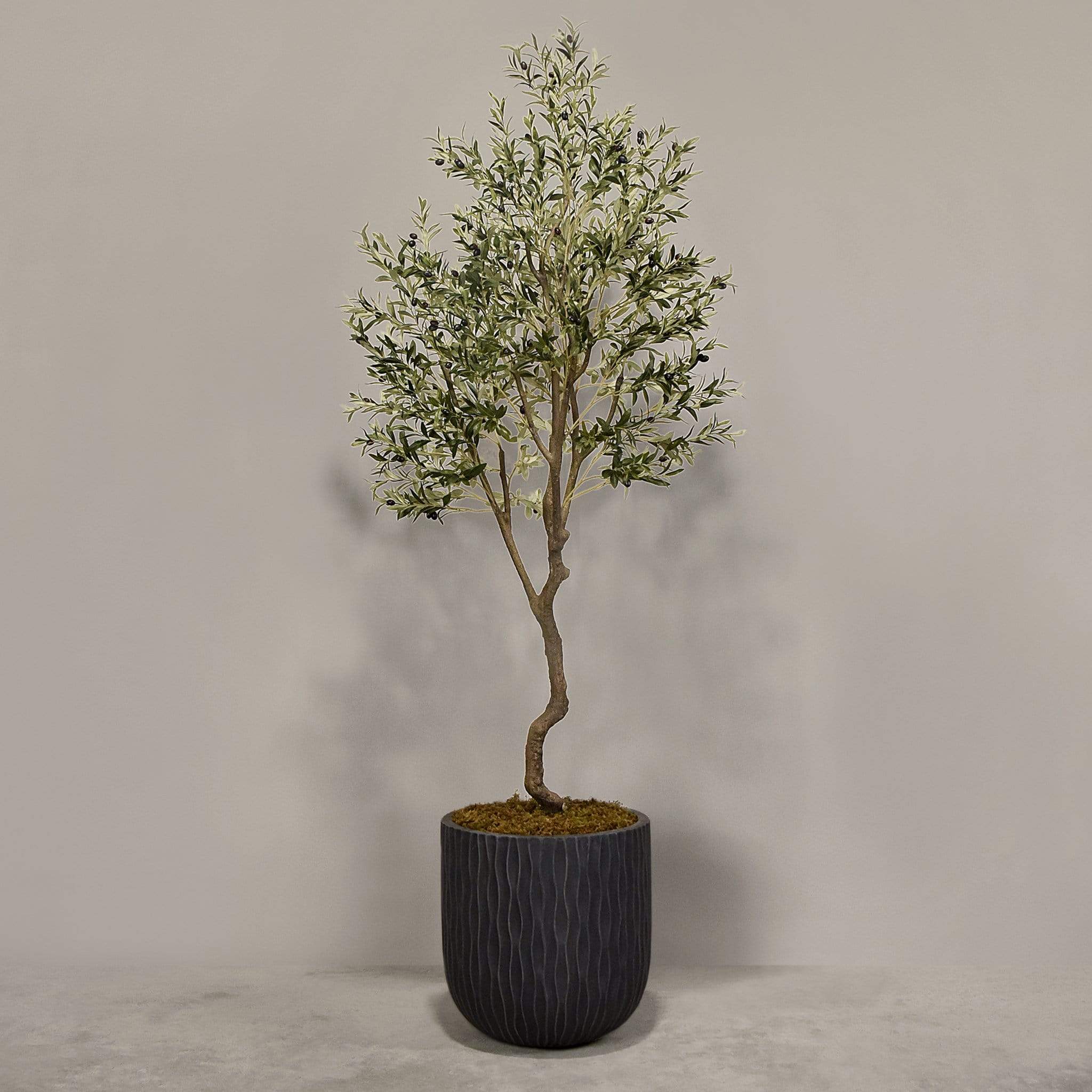 Artificial Olive Tree With Pot - Image 12