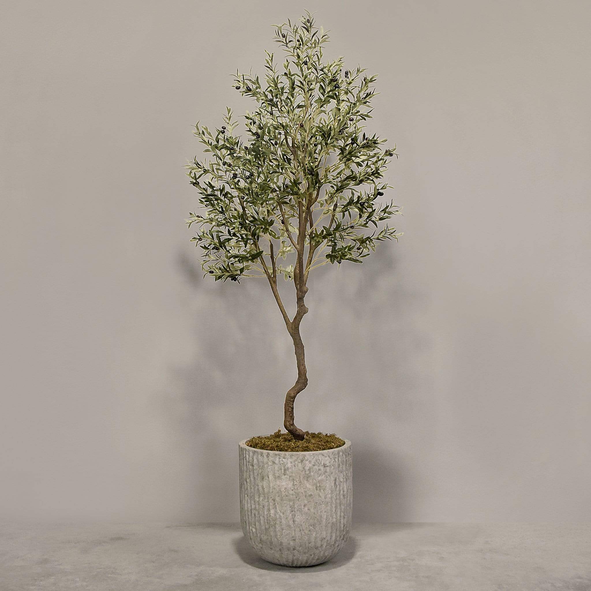 Artificial Olive Tree With Pot - Image 6