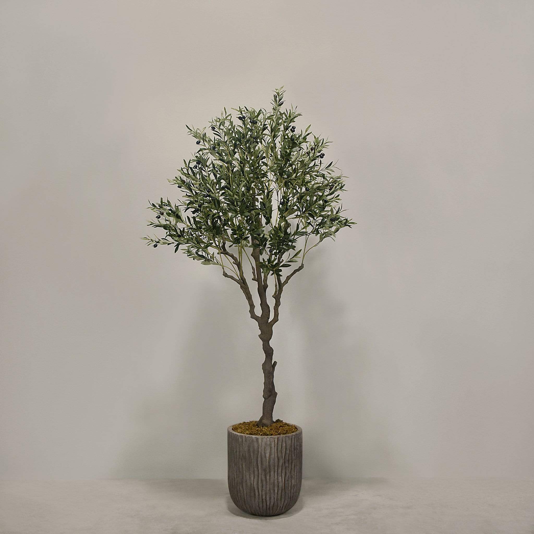 Artificial Olive Tree With Pot - Image 7