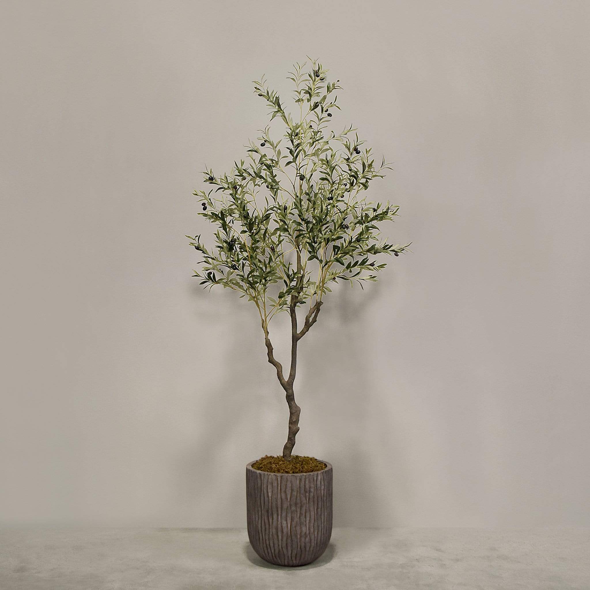 Artificial Olive Tree With Pot - Image 8