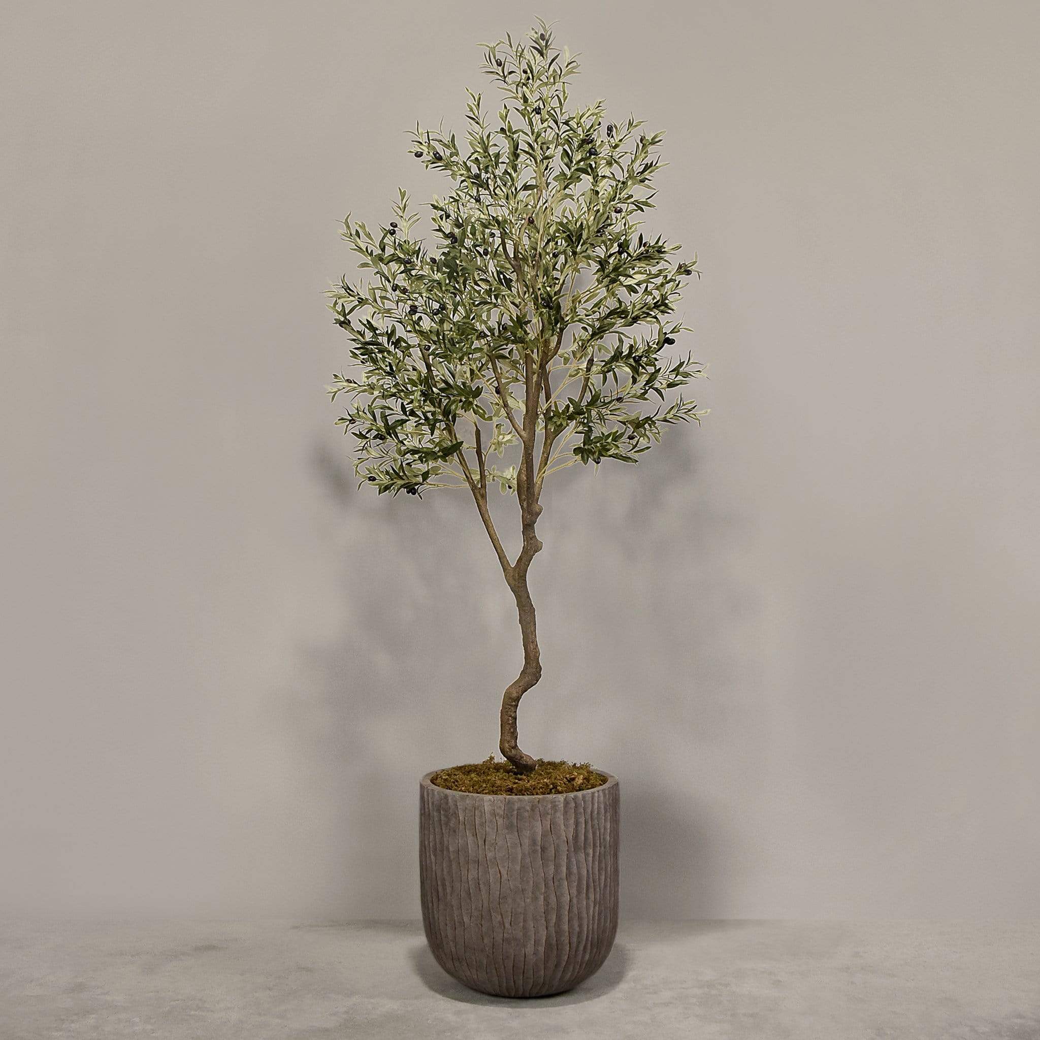 Artificial Olive Tree With Pot - Image 9
