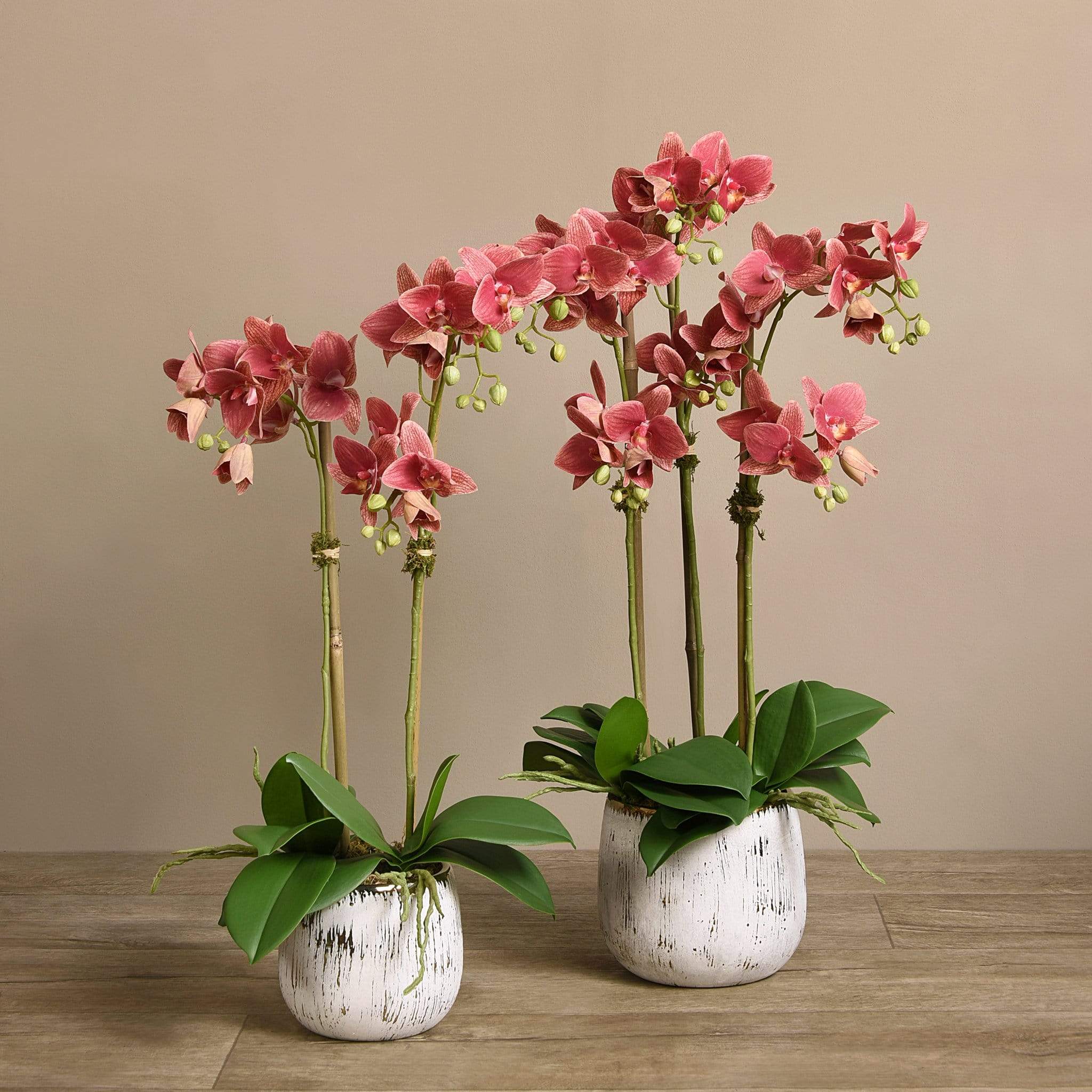 Artificial Orchid Arrangement - Image 4