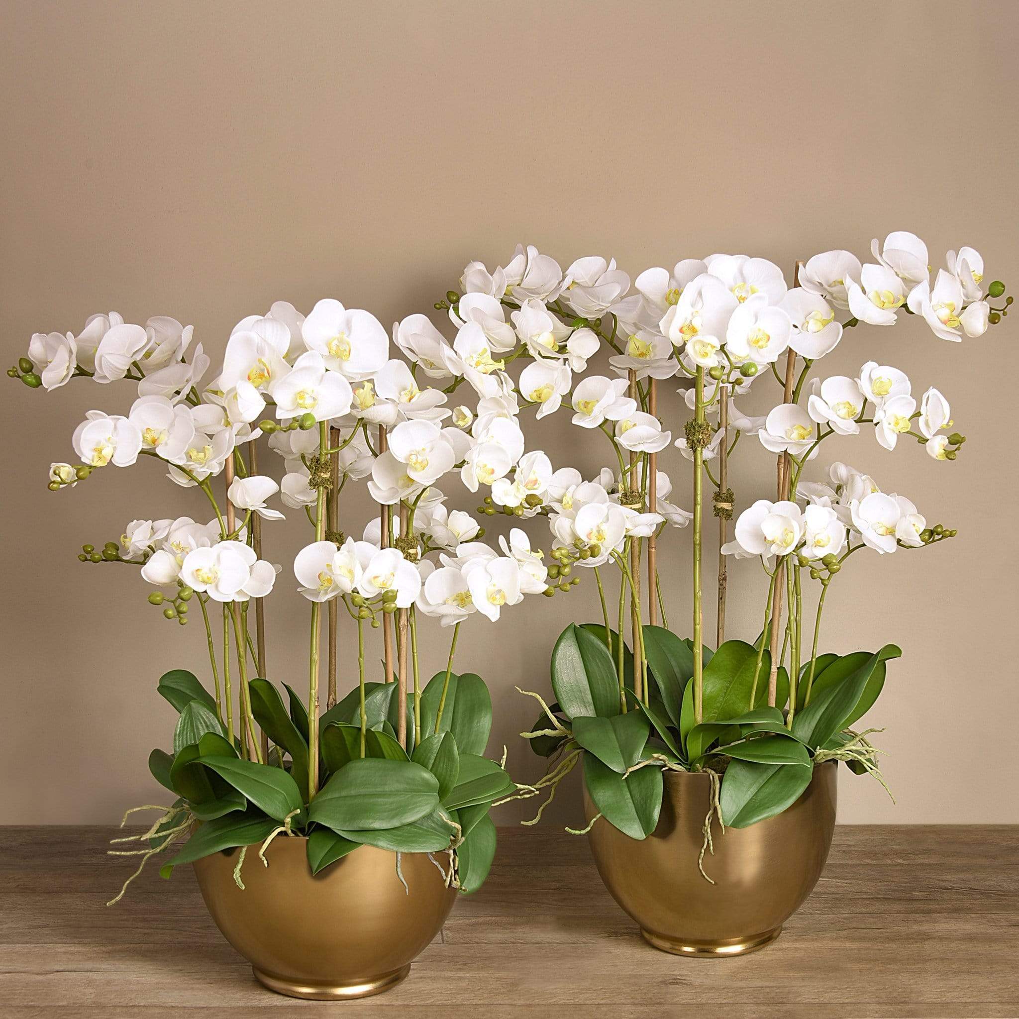 Artificial Orchid Arrangement