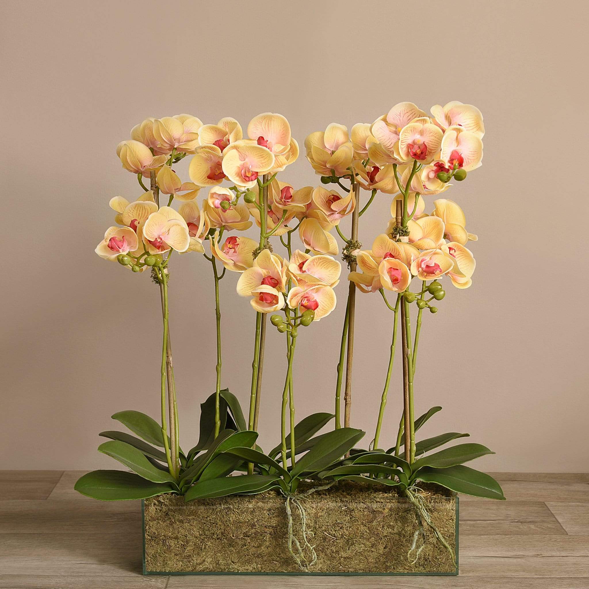Artificial Orchid Arrangement in Glass Vase - Image 10