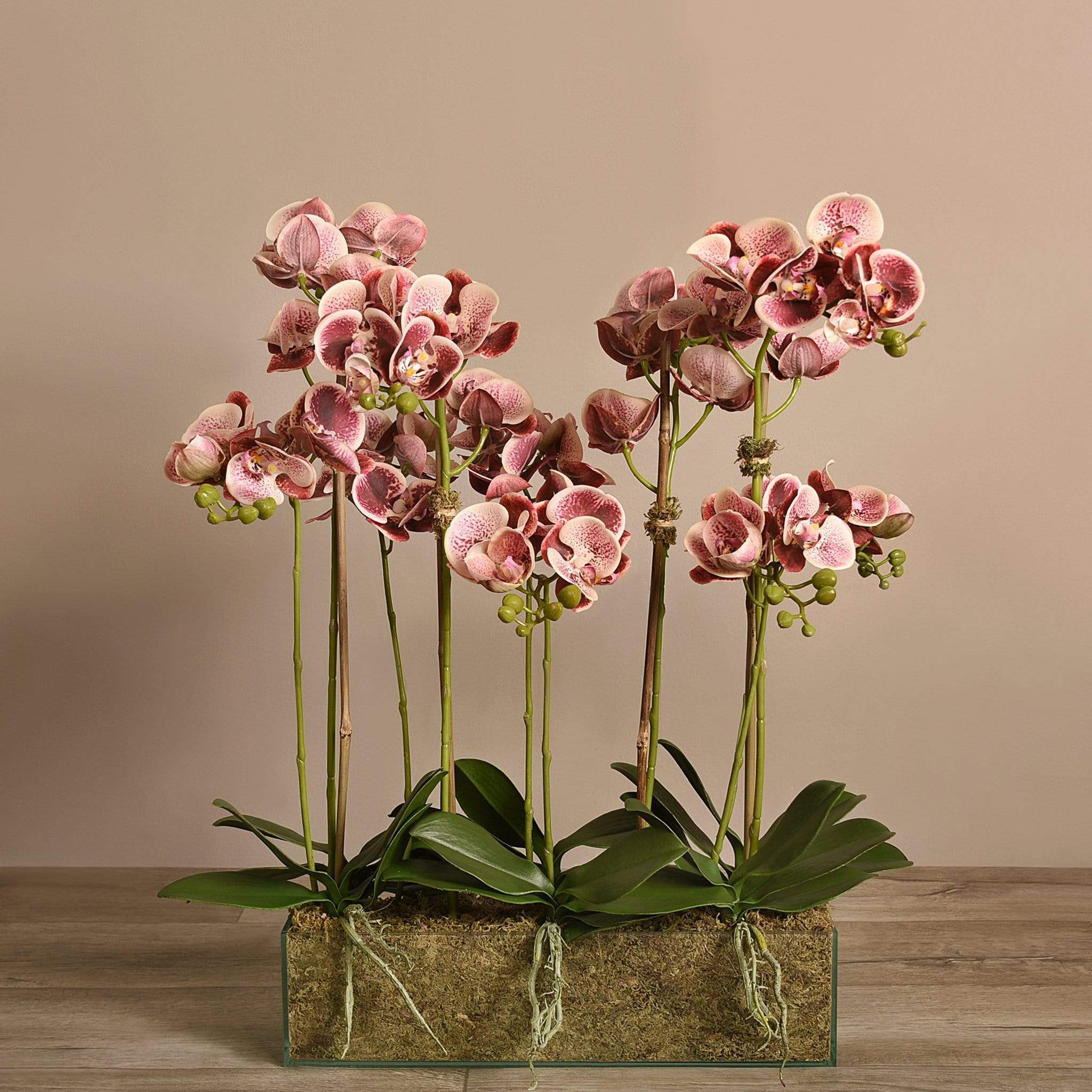 Artificial Orchid Arrangement in Glass Vase - Image 14