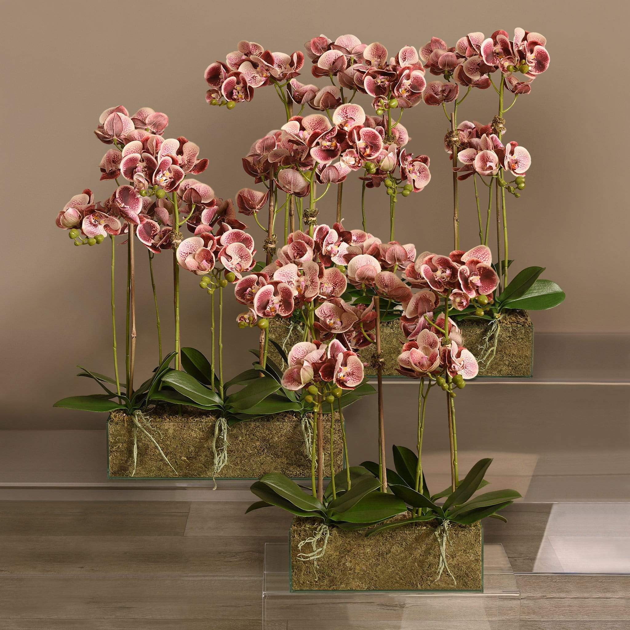 Artificial Orchid Arrangement in Glass Vase - Image 16