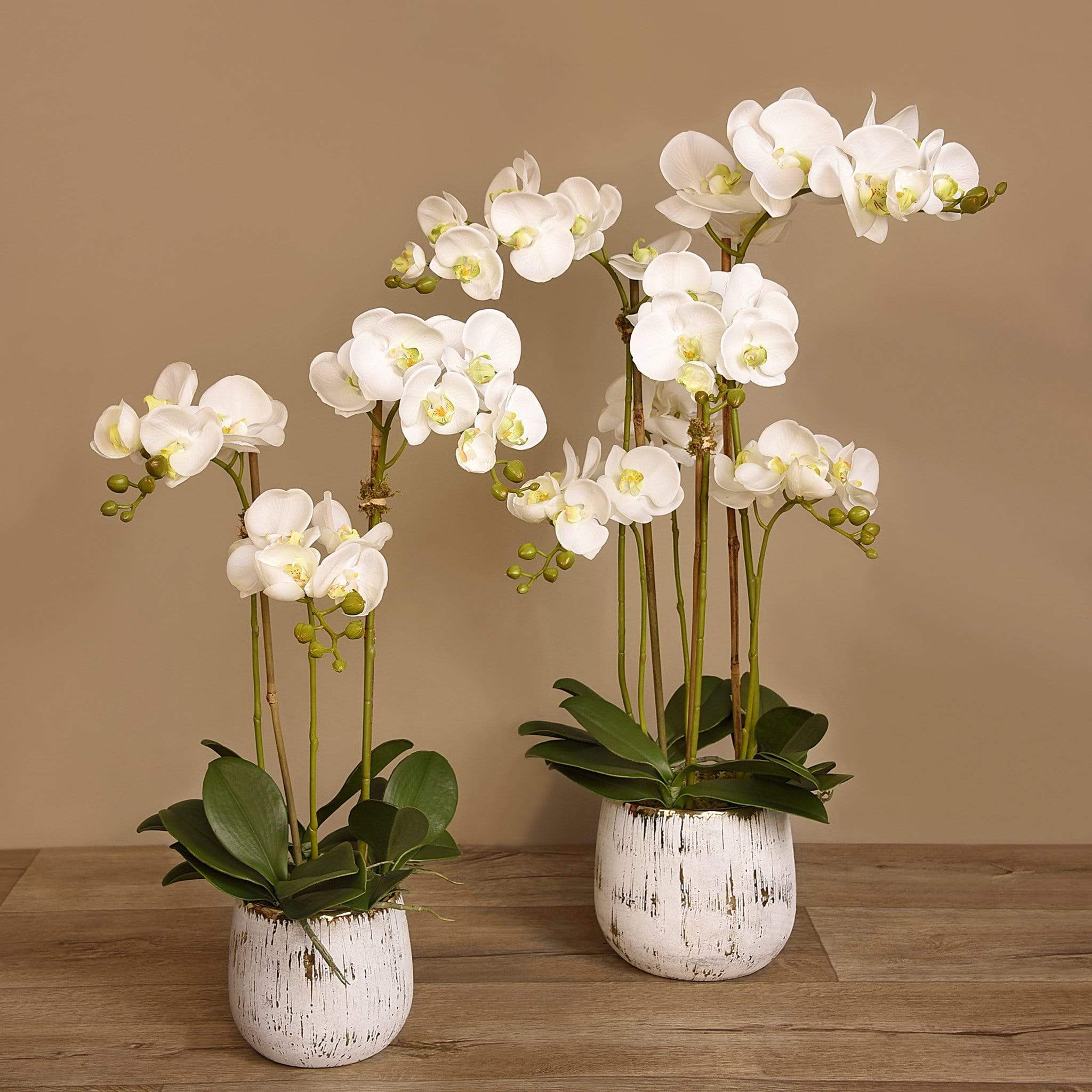 Artificial Orchid Arrangement