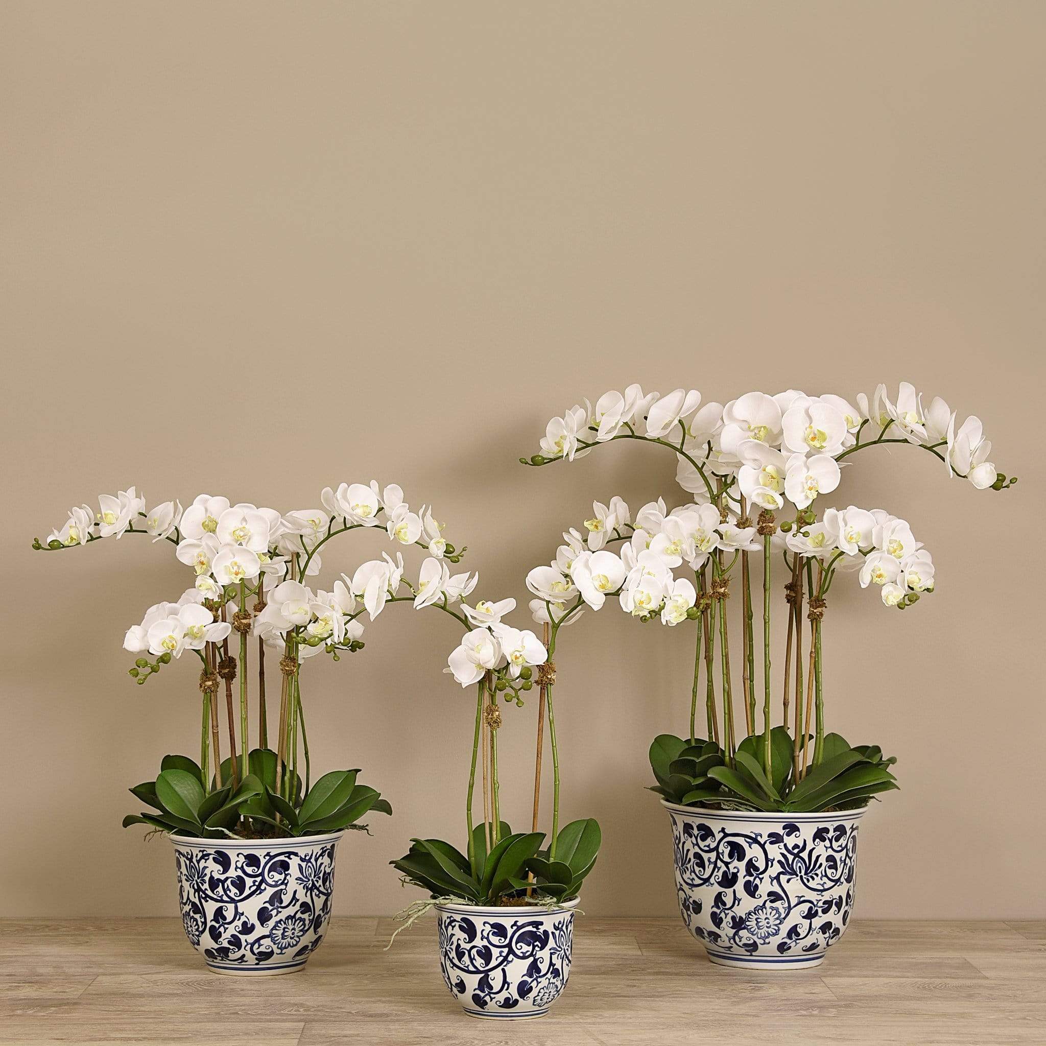 Artificial Orchid Arrangement