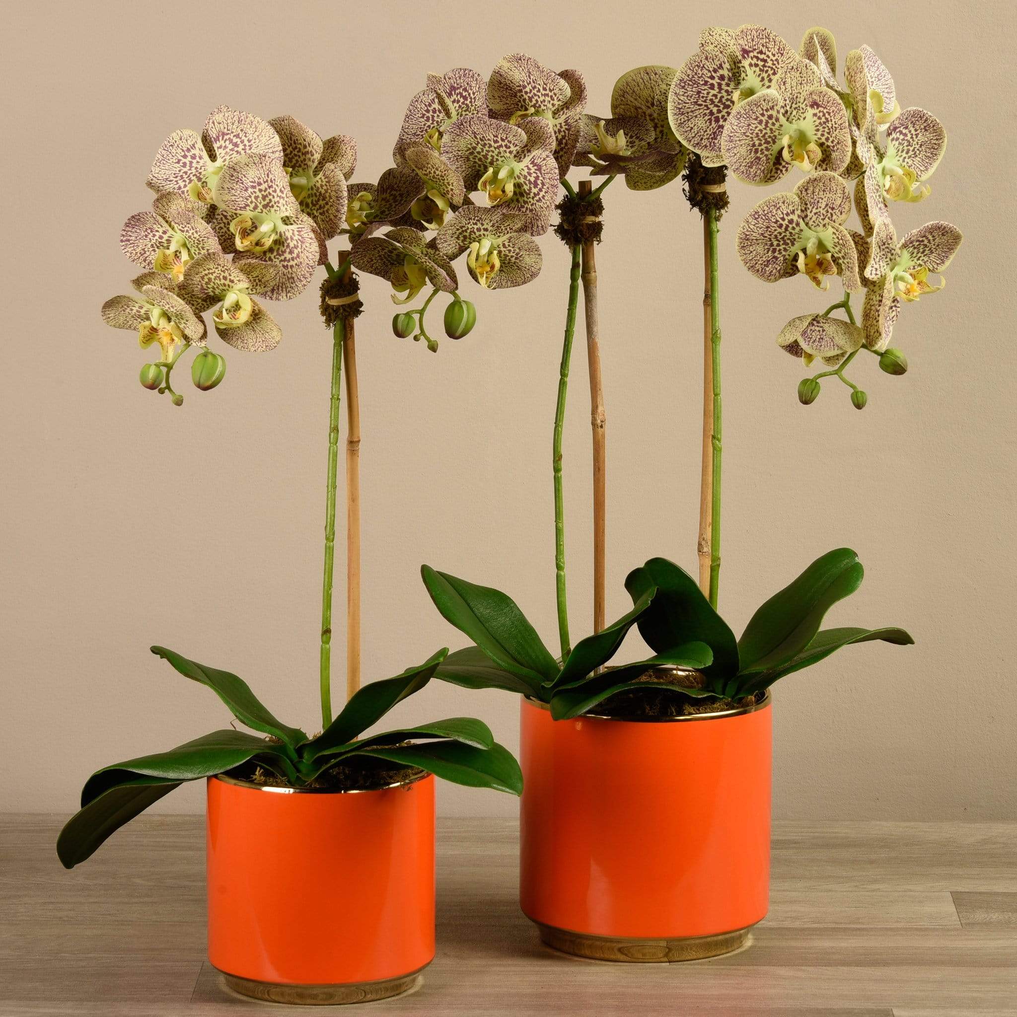 Artificial Orchid Arrangement - Image 13