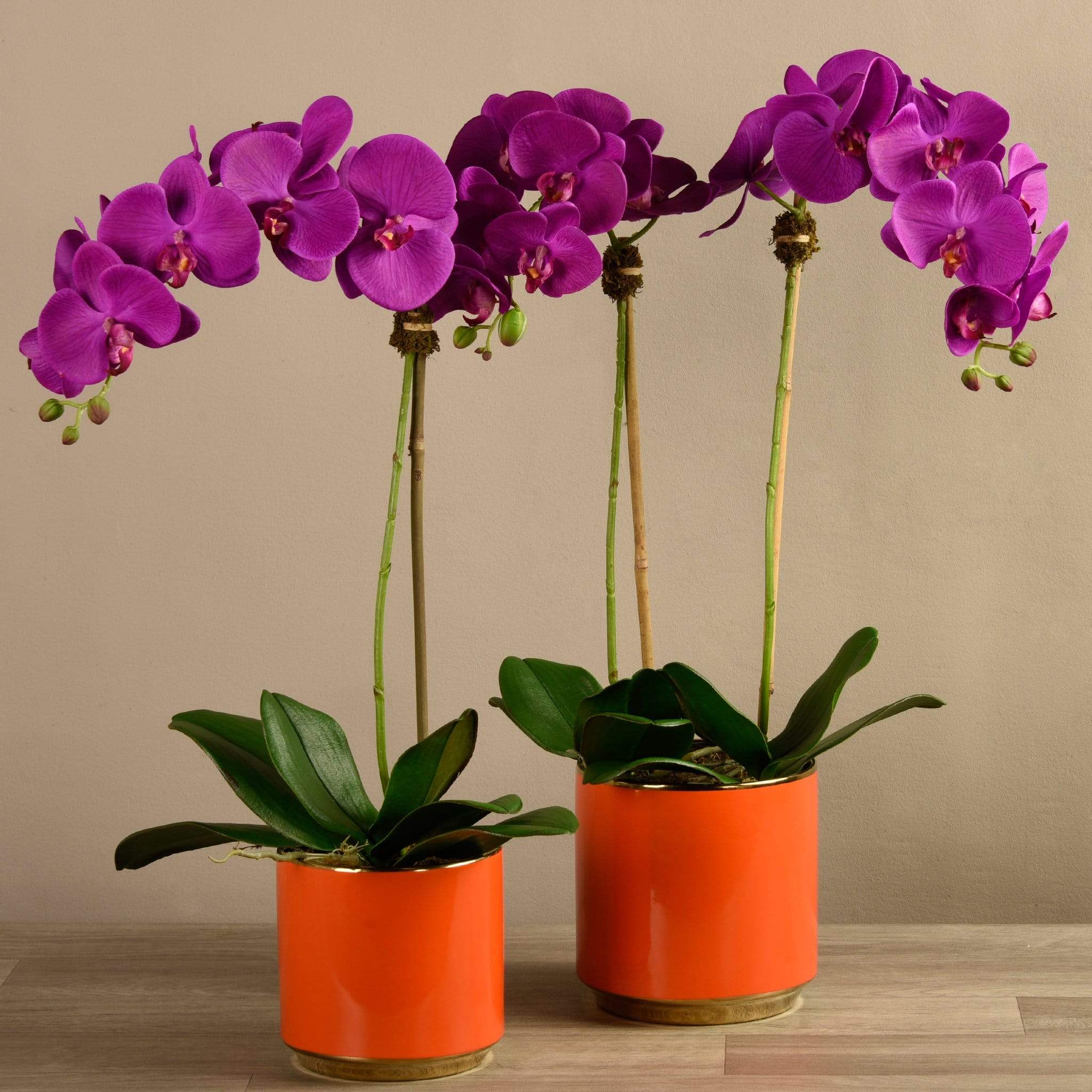 Artificial Orchid Arrangement - Image 4