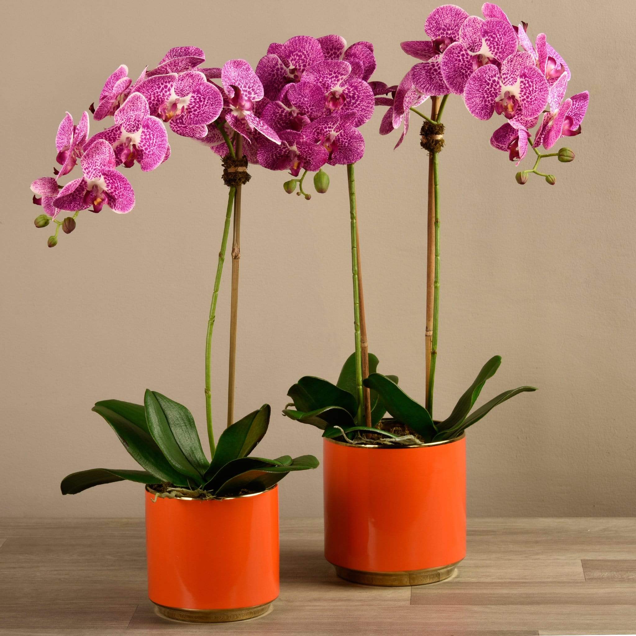 Artificial Orchid Arrangement - Image 7