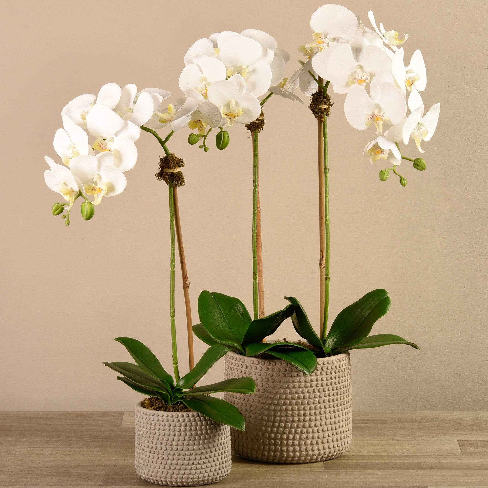 Artificial Orchid Arrangement
