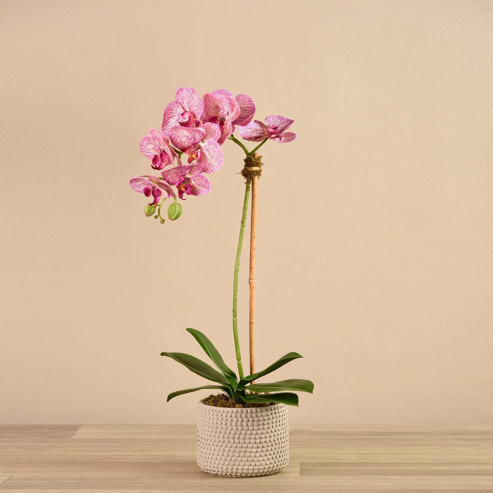 Artificial Orchid Arrangement - Image 11