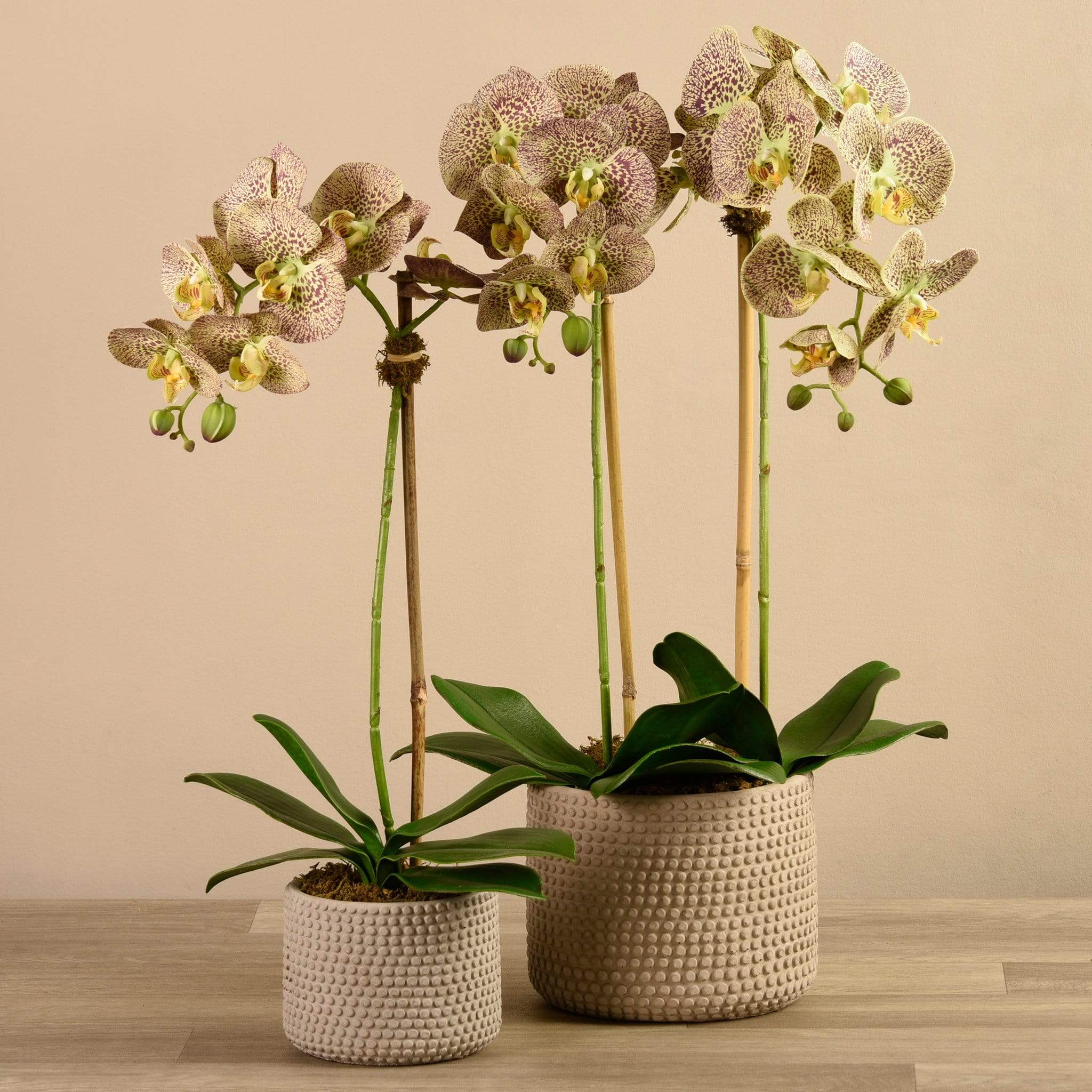 Artificial Orchid Arrangement - Image 13