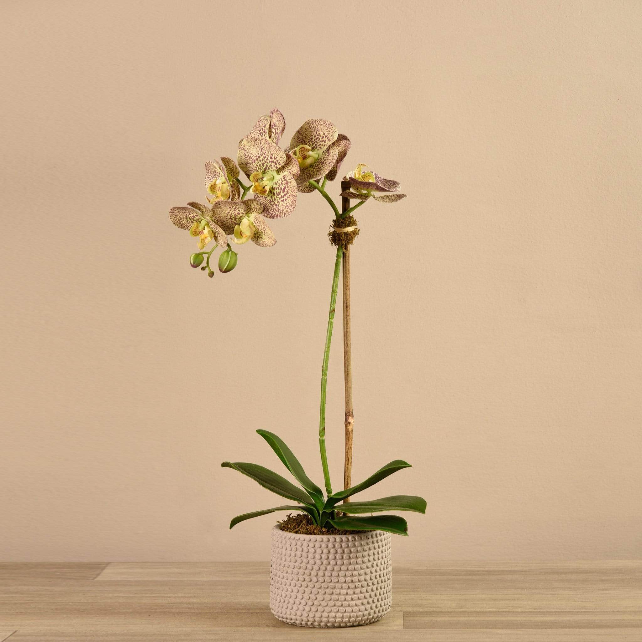 Artificial Orchid Arrangement - Image 14