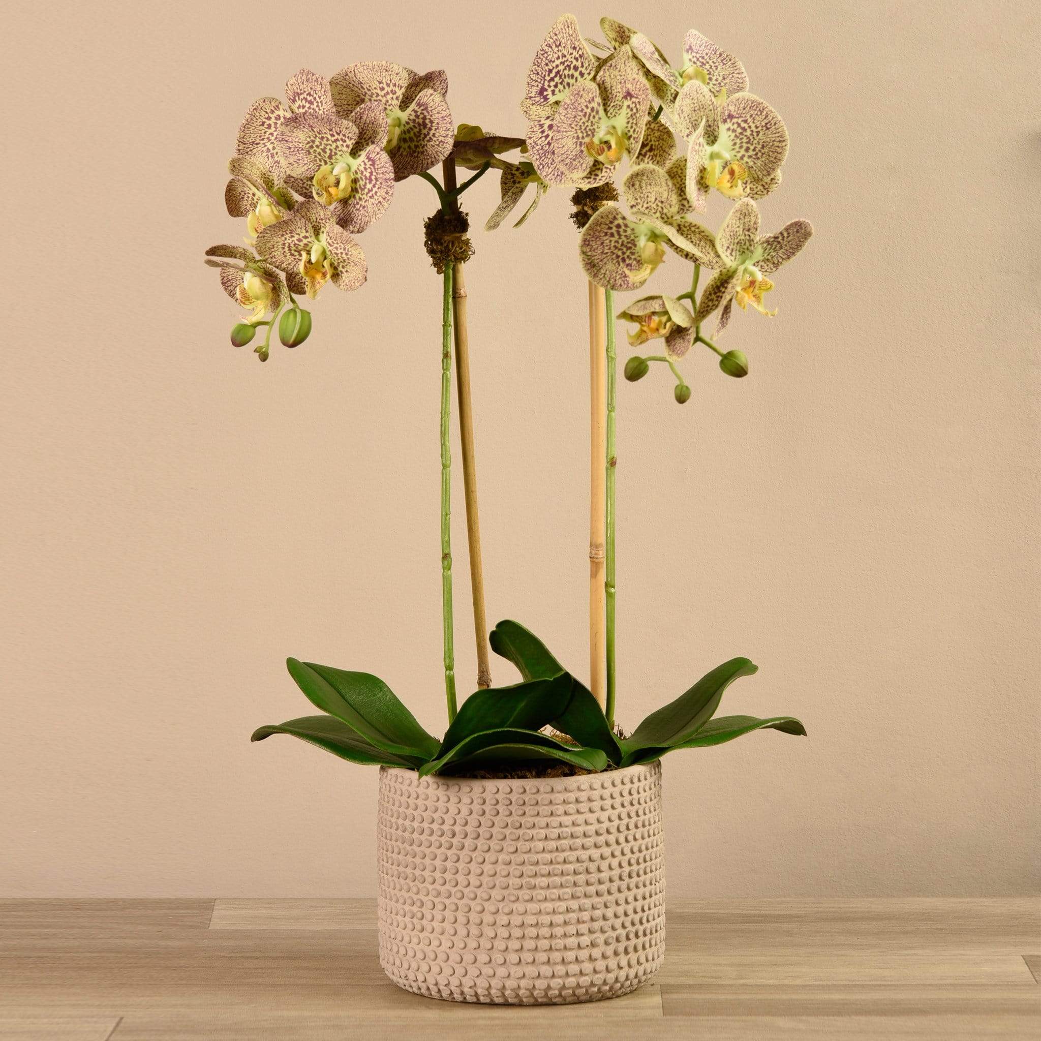 Artificial Orchid Arrangement - Image 15