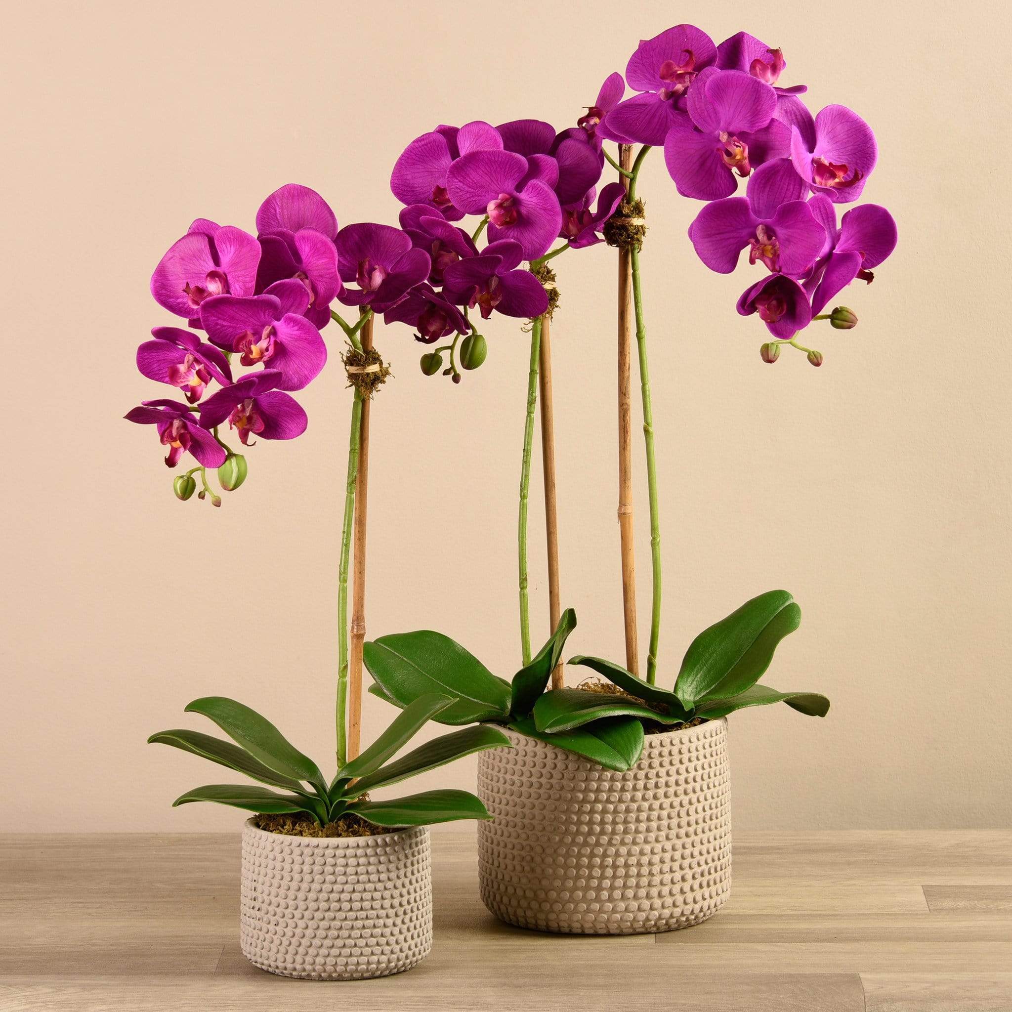 Artificial Orchid Arrangement - Image 4