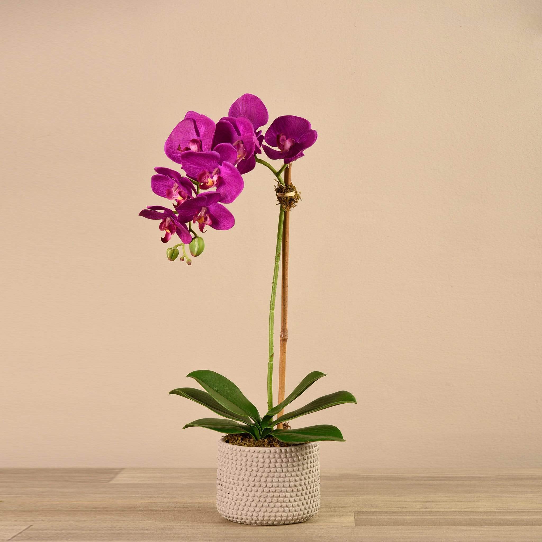 Artificial Orchid Arrangement - Image 5